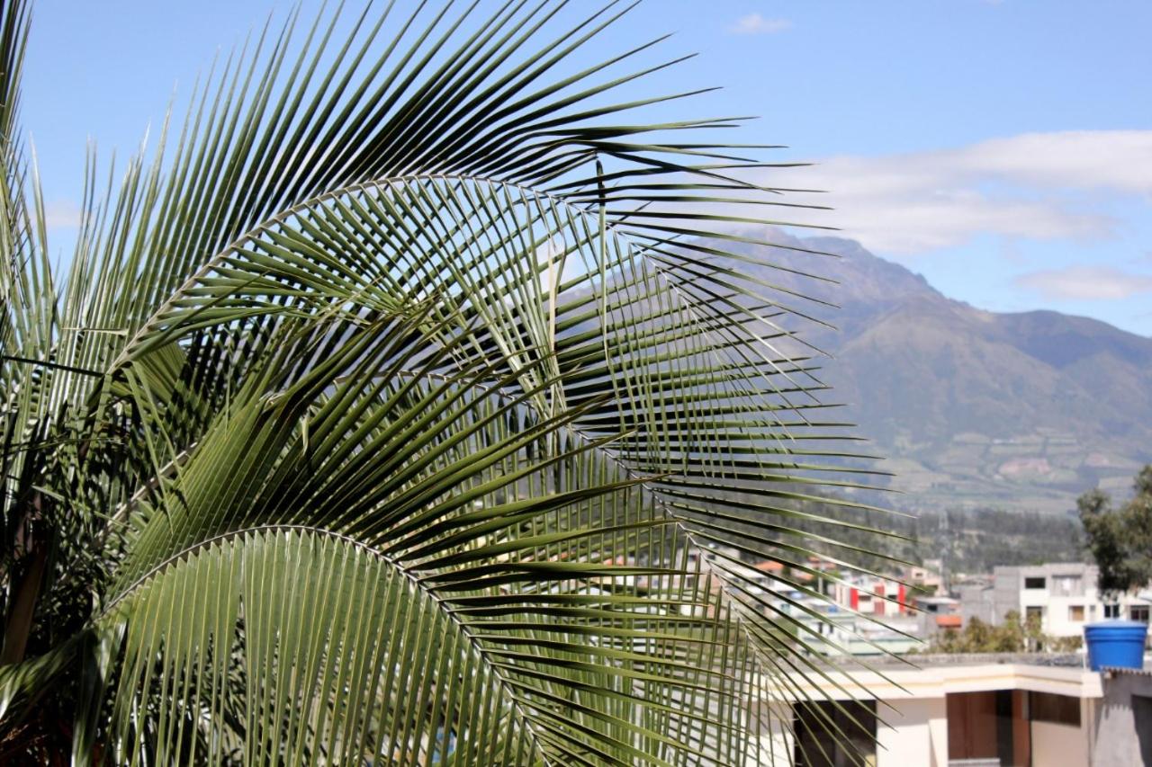 Hotel El Geranio