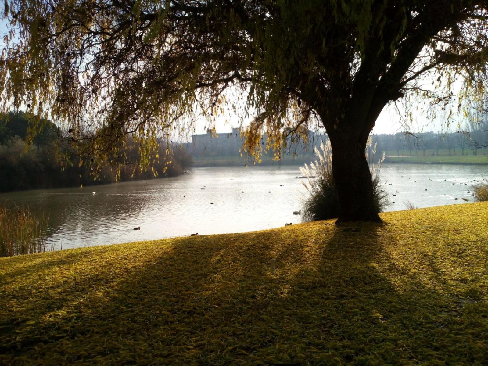 LA LAGUNA view 5