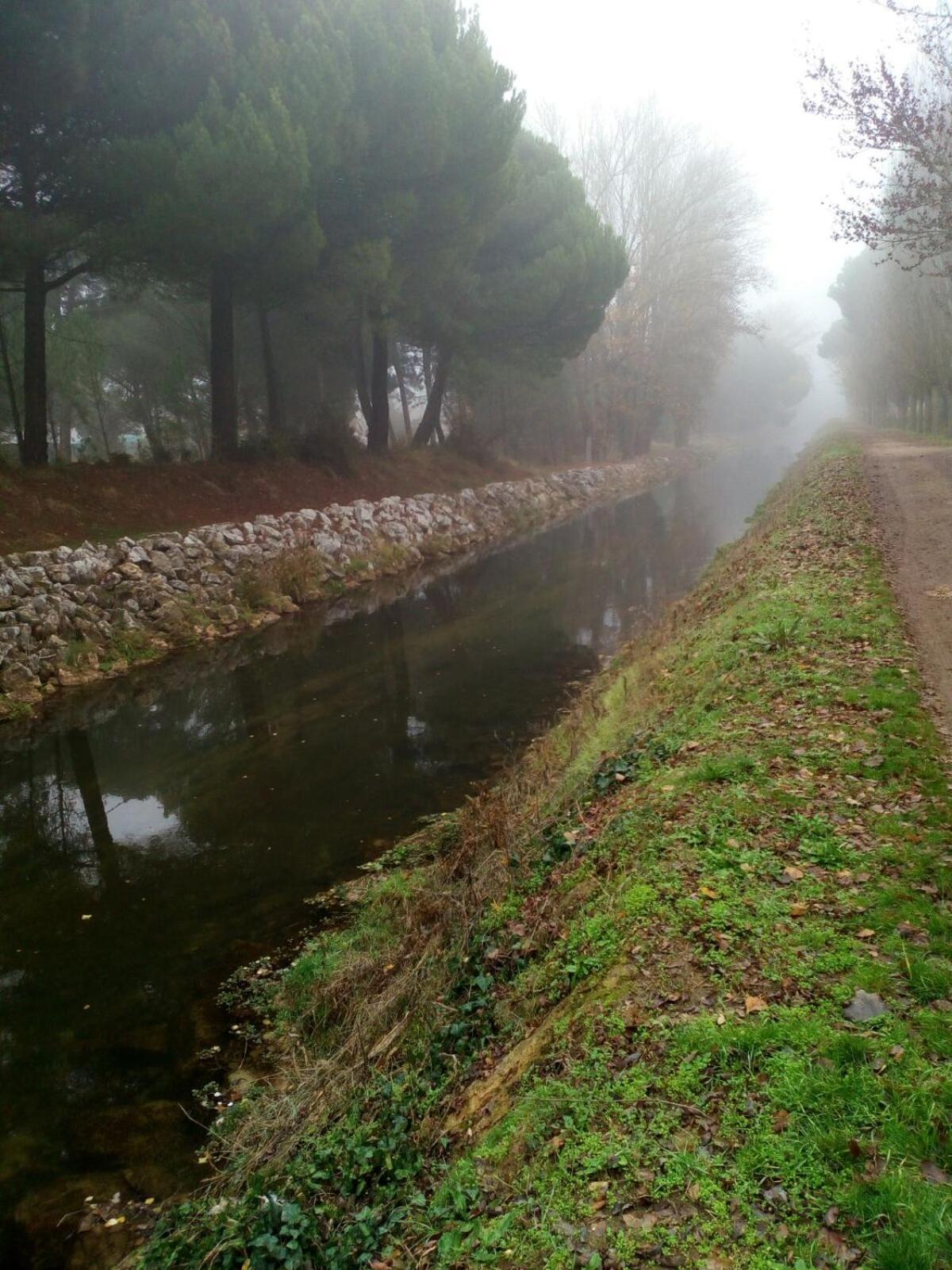 Photo 35