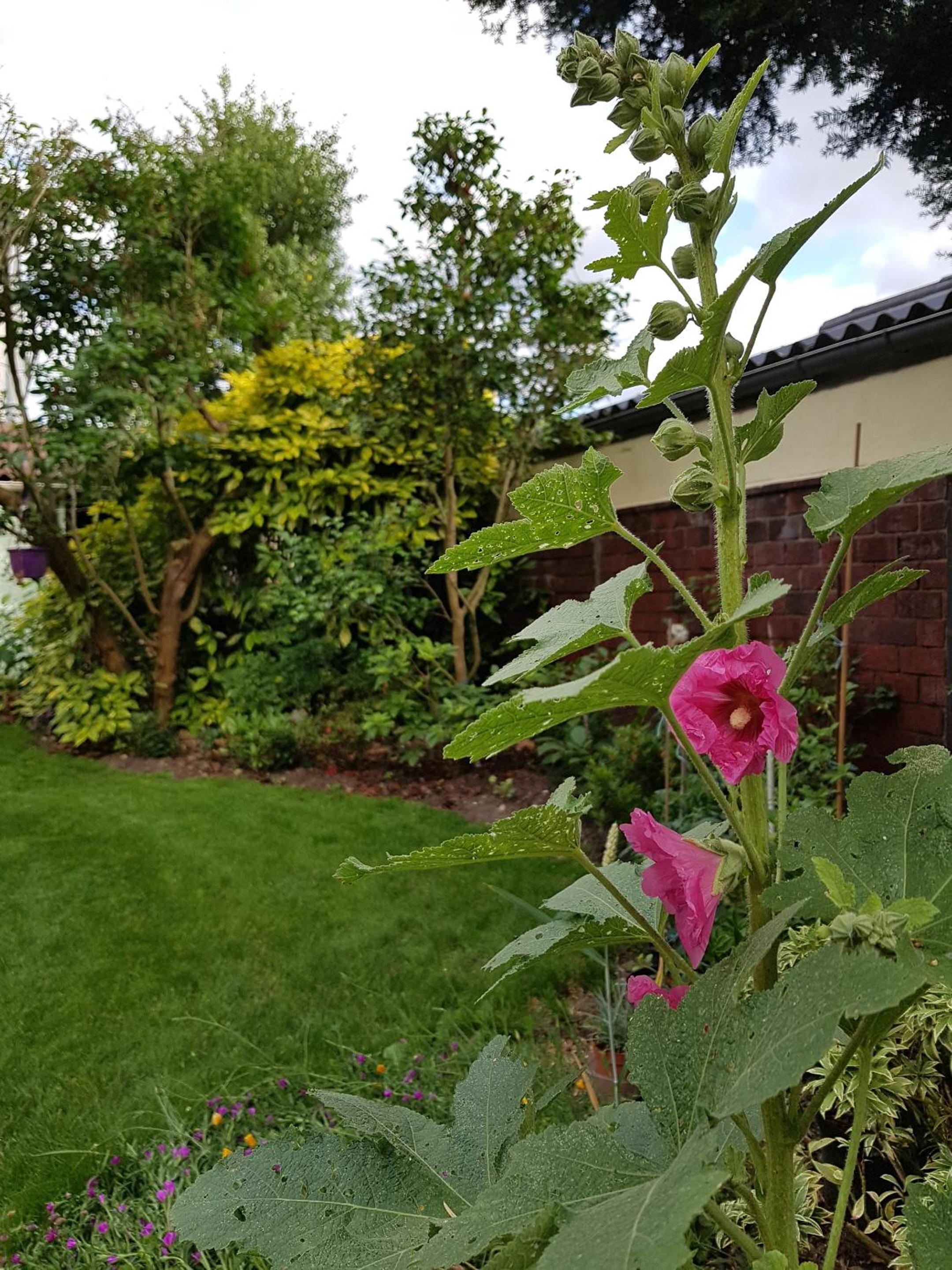 Photo 26