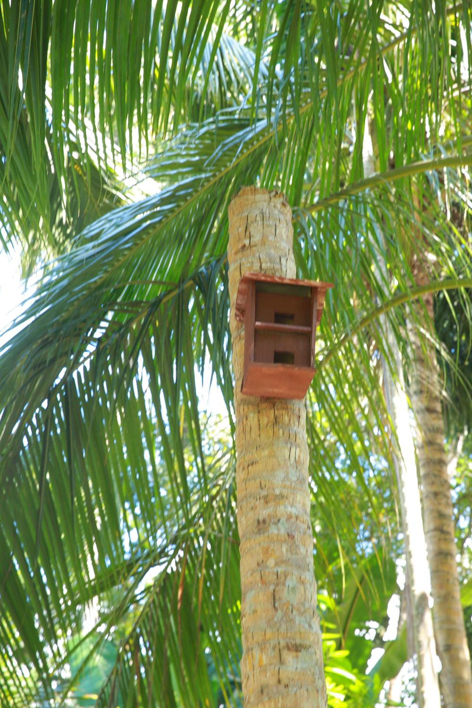 Limecabanas-srilanka