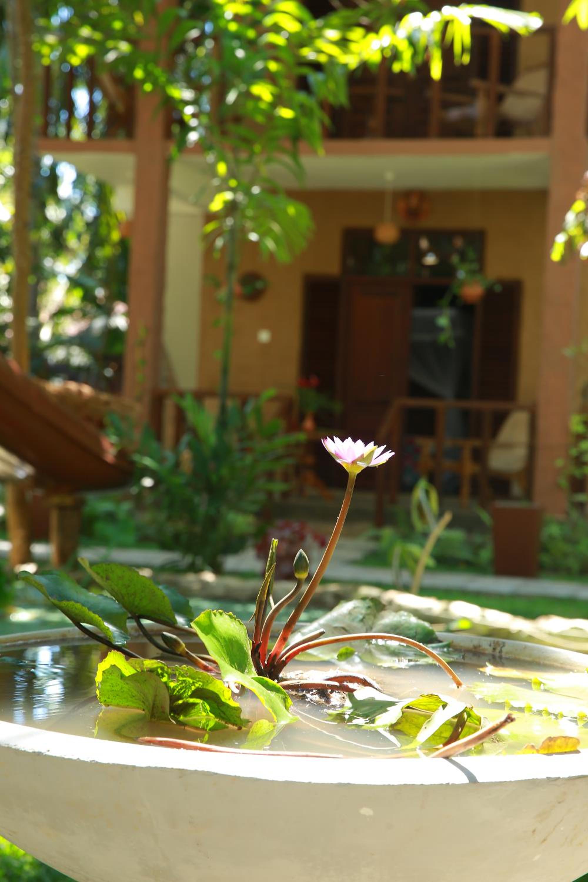 Limecabanas-srilanka