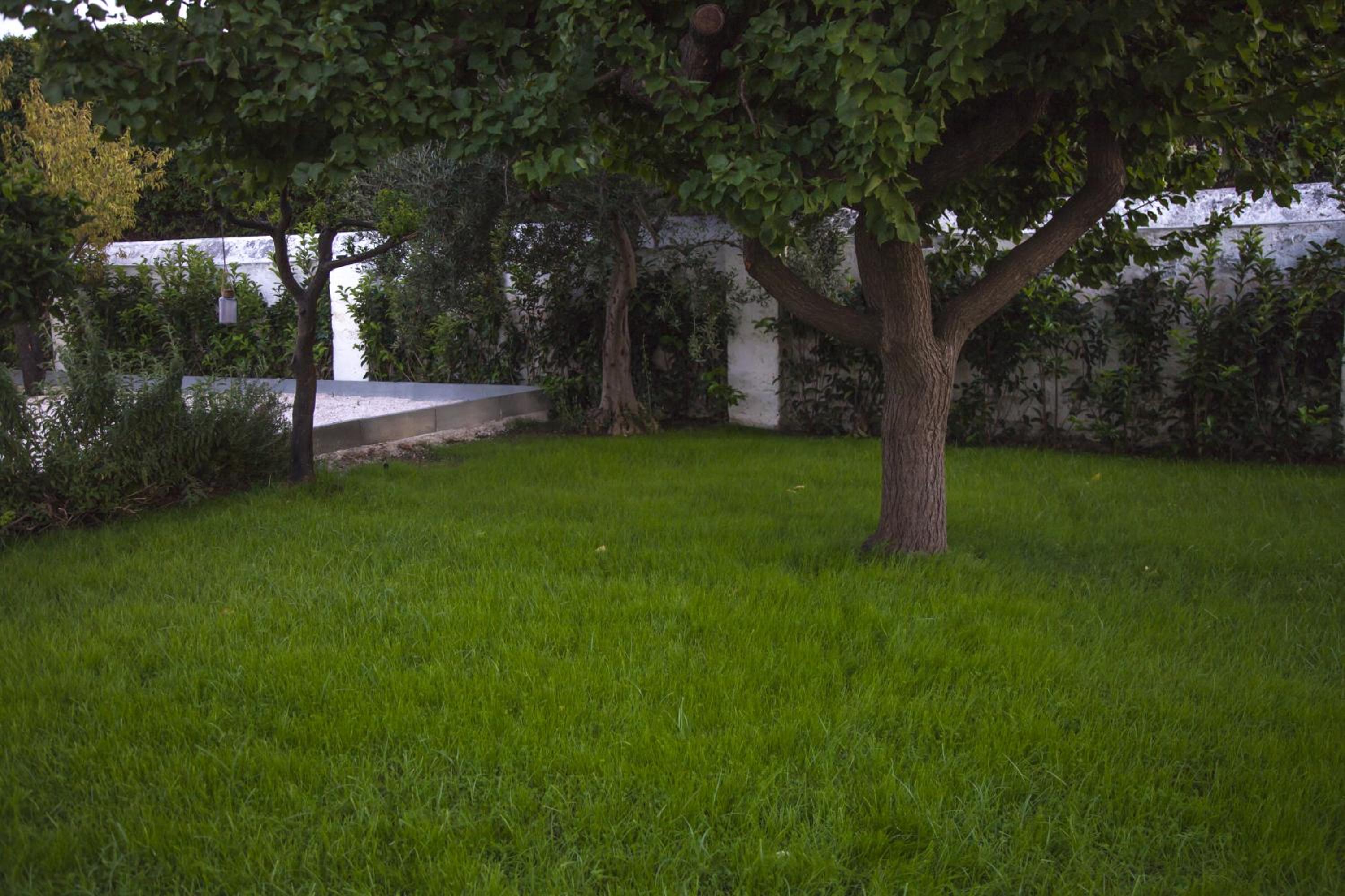Photo 32