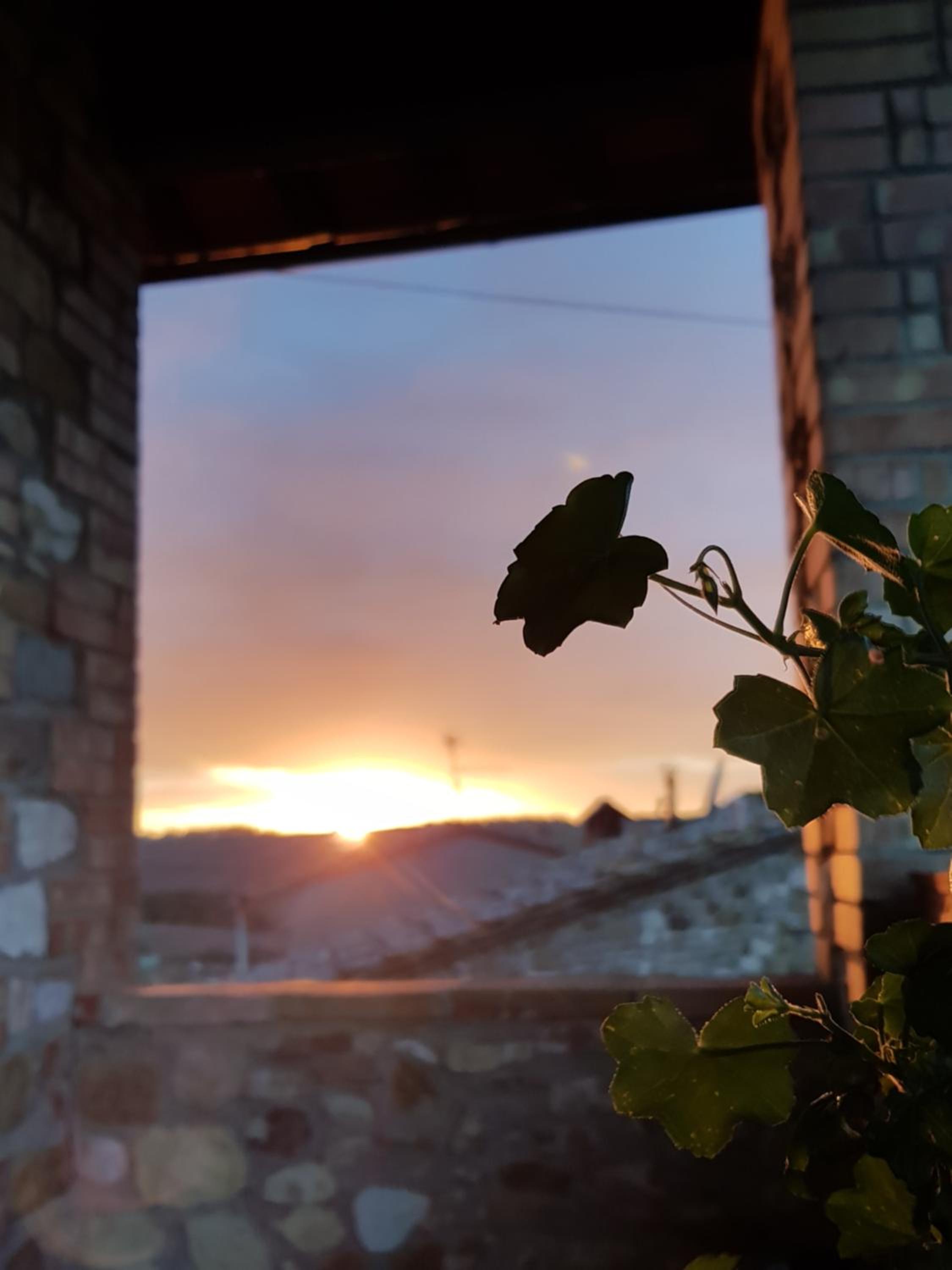Sweet in Chianti