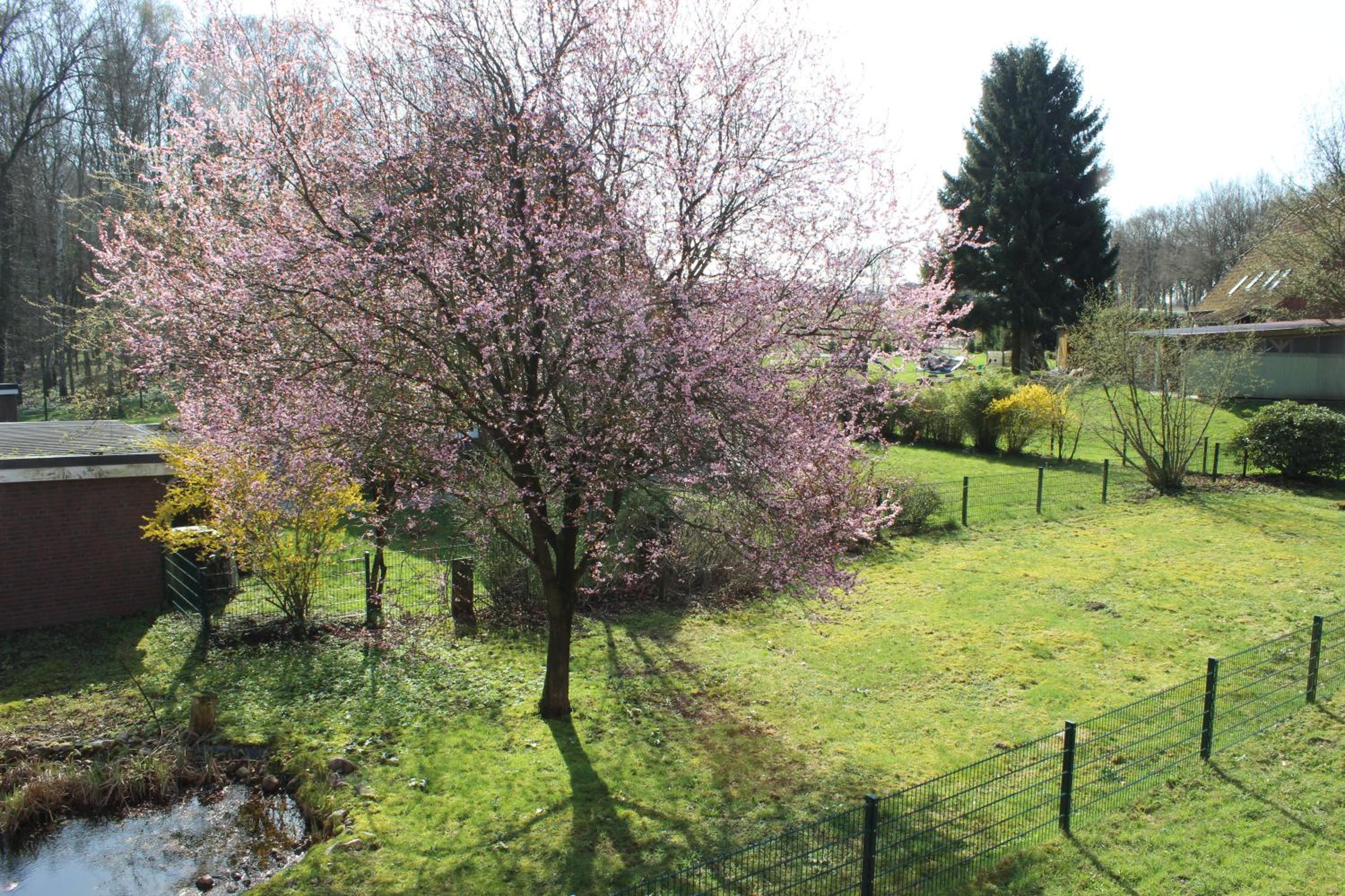 Ferienhaus an der Grenze zu Hamburg Zentrale Lage