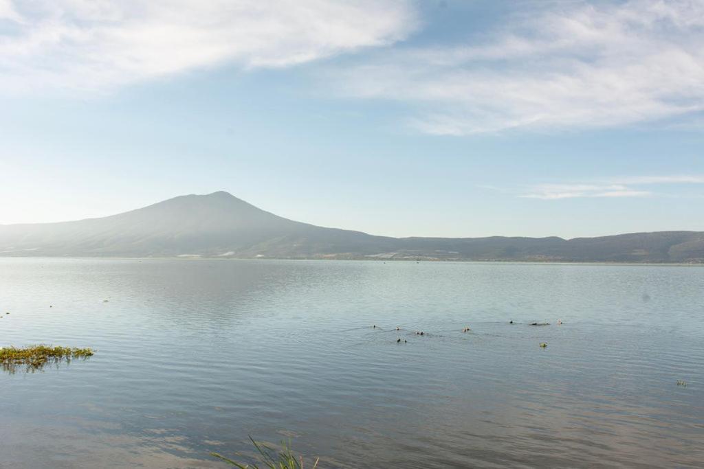 Casa Palomas Bed and Breakfast view 4