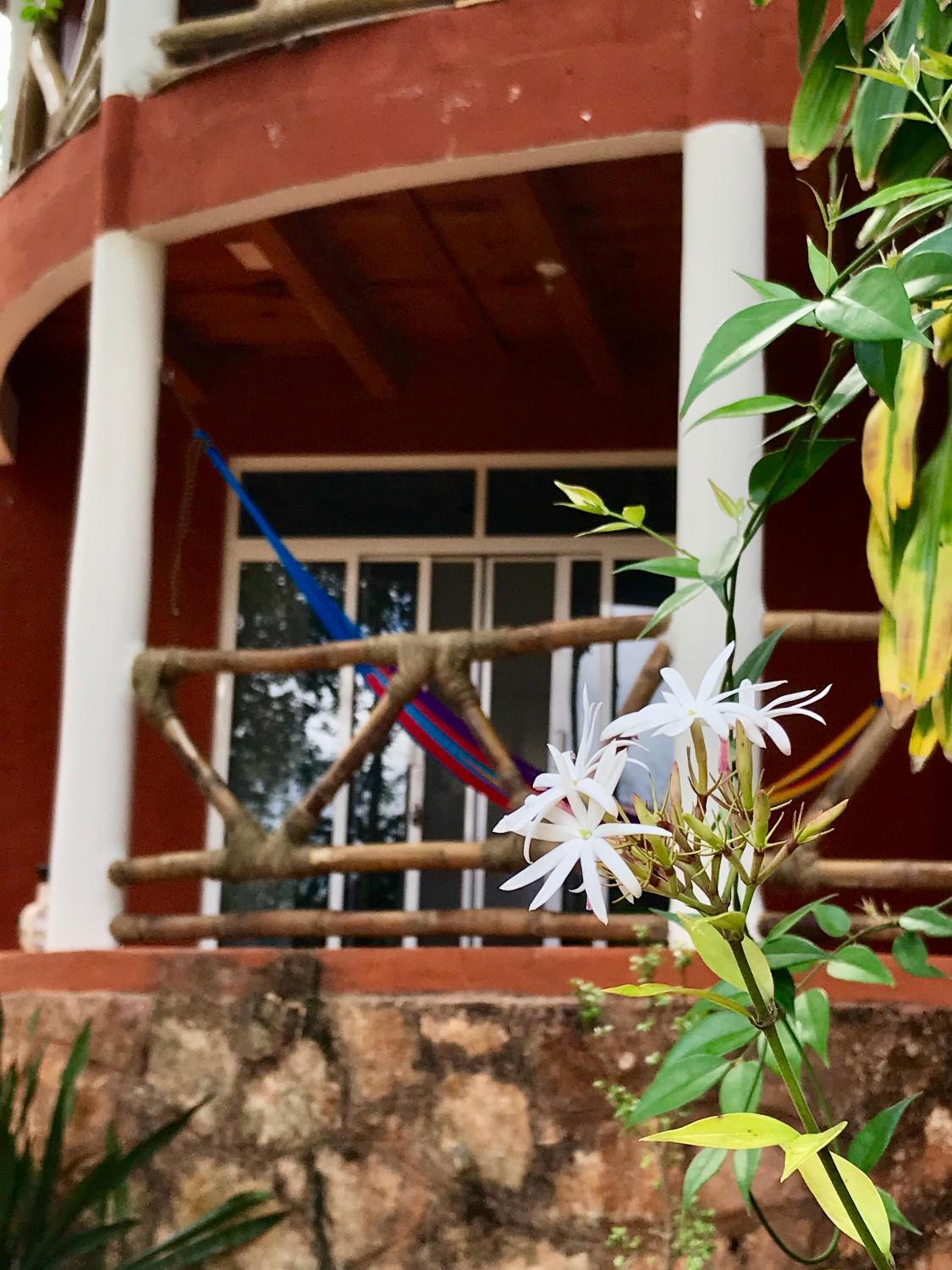 Eco-Hotel Nueva Altia