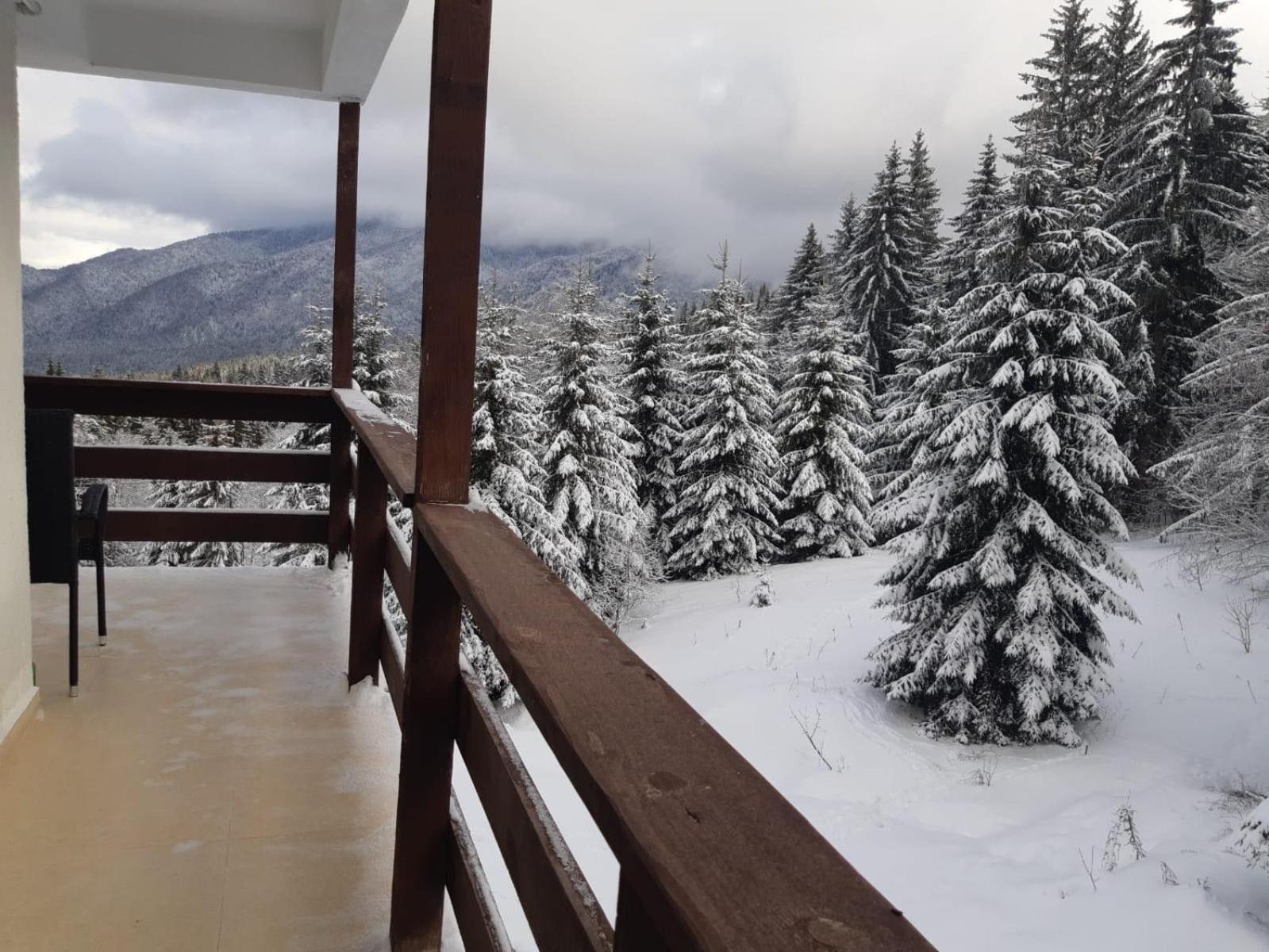 Studio 16 Predeal view 3