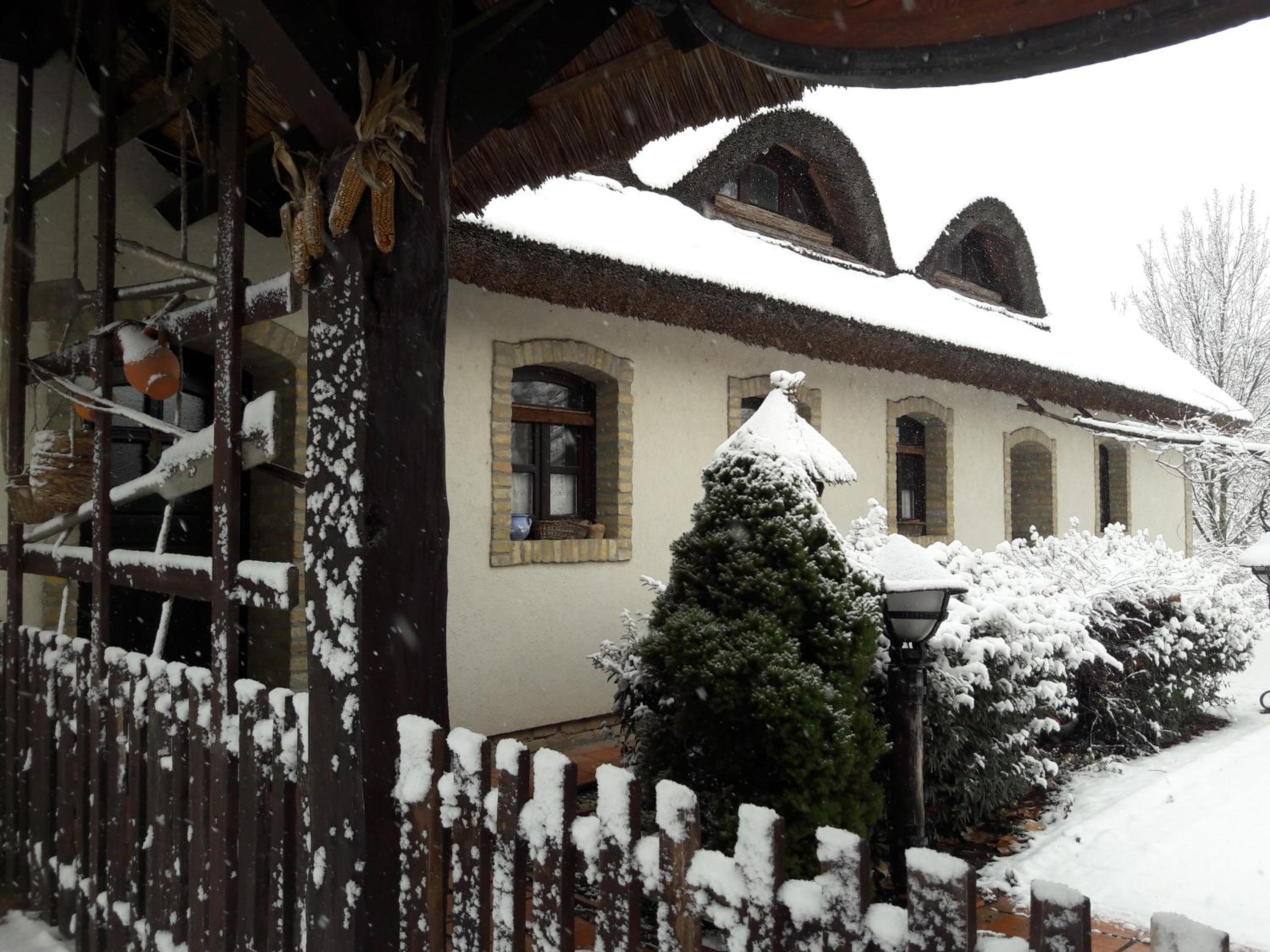Photo 15