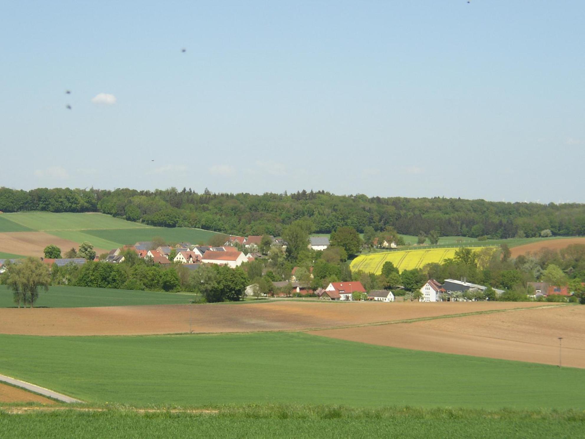 Photo 32