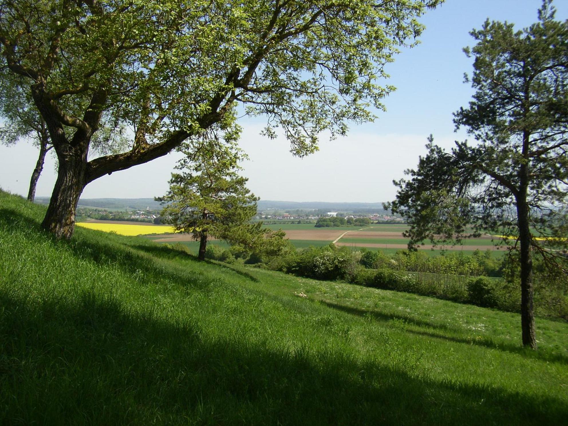 Photo 26