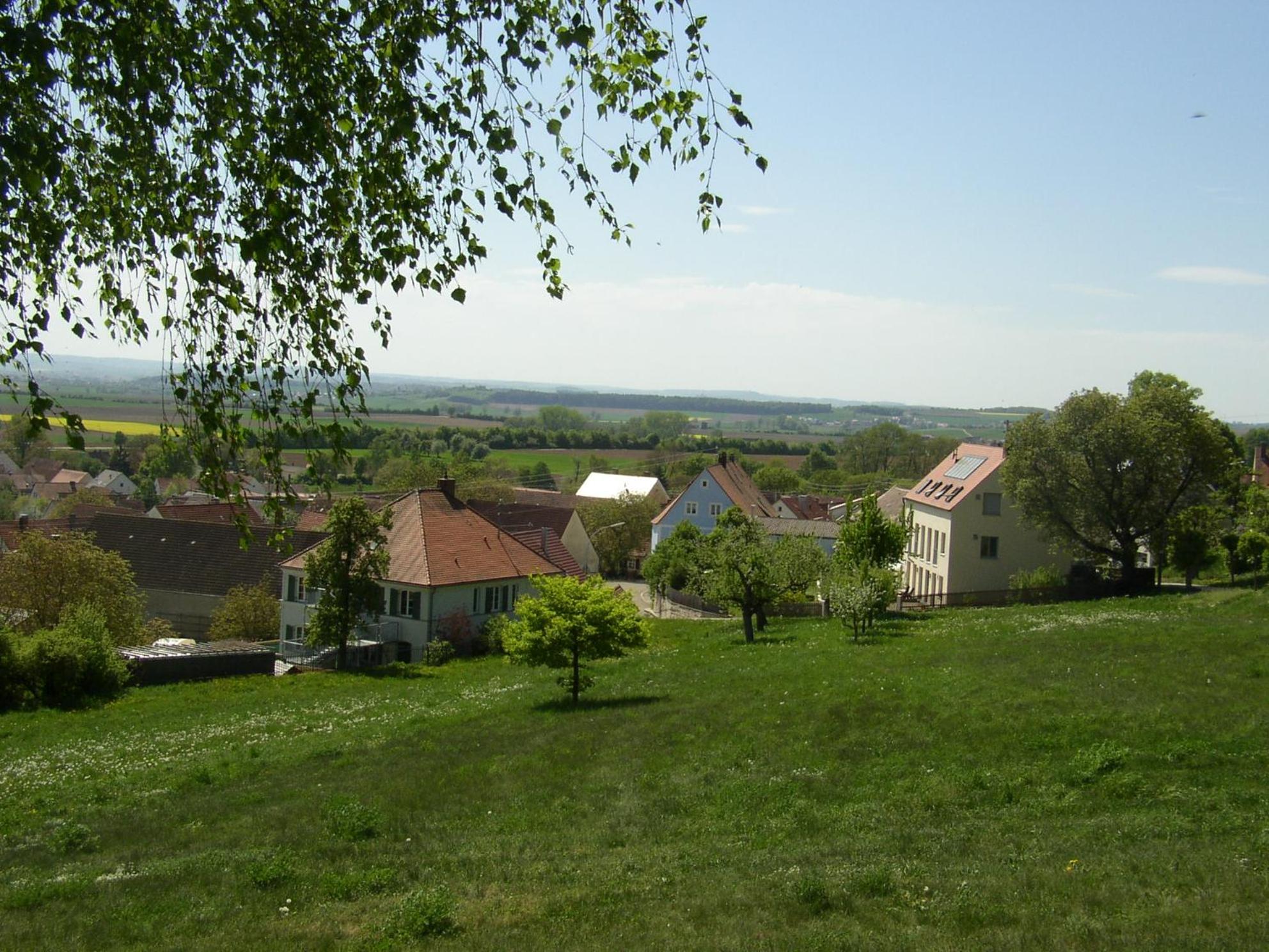 Photo 25