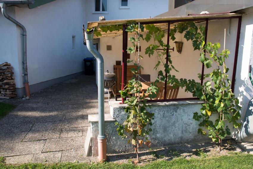 Ferienwohnung am Chiemsee view 3