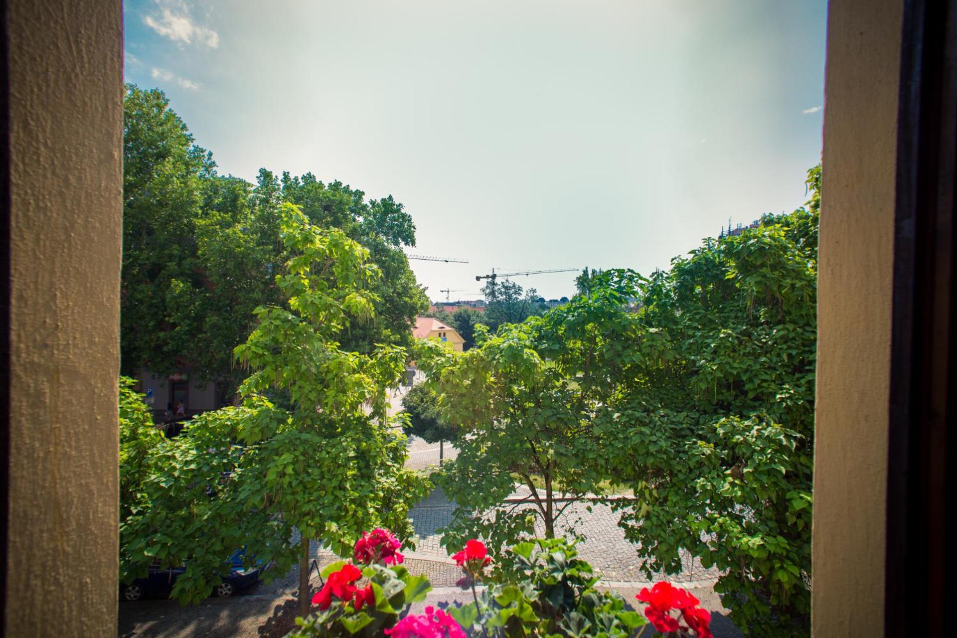 Pension City, photo 41