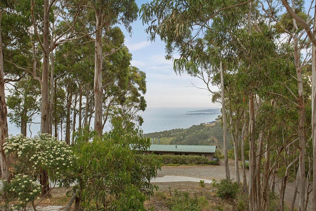 Beacon Point Ocean View Villas
