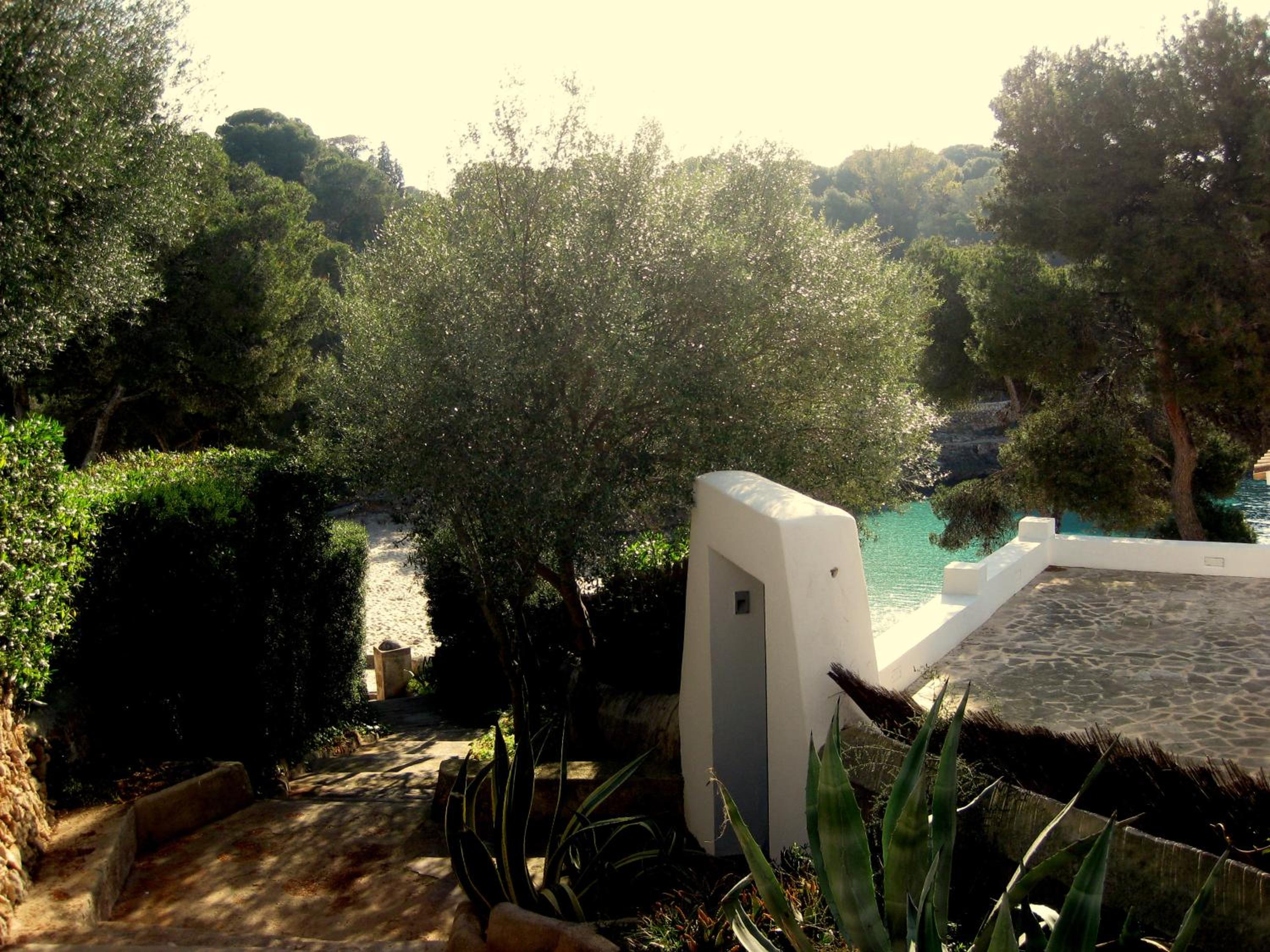 Photo 30