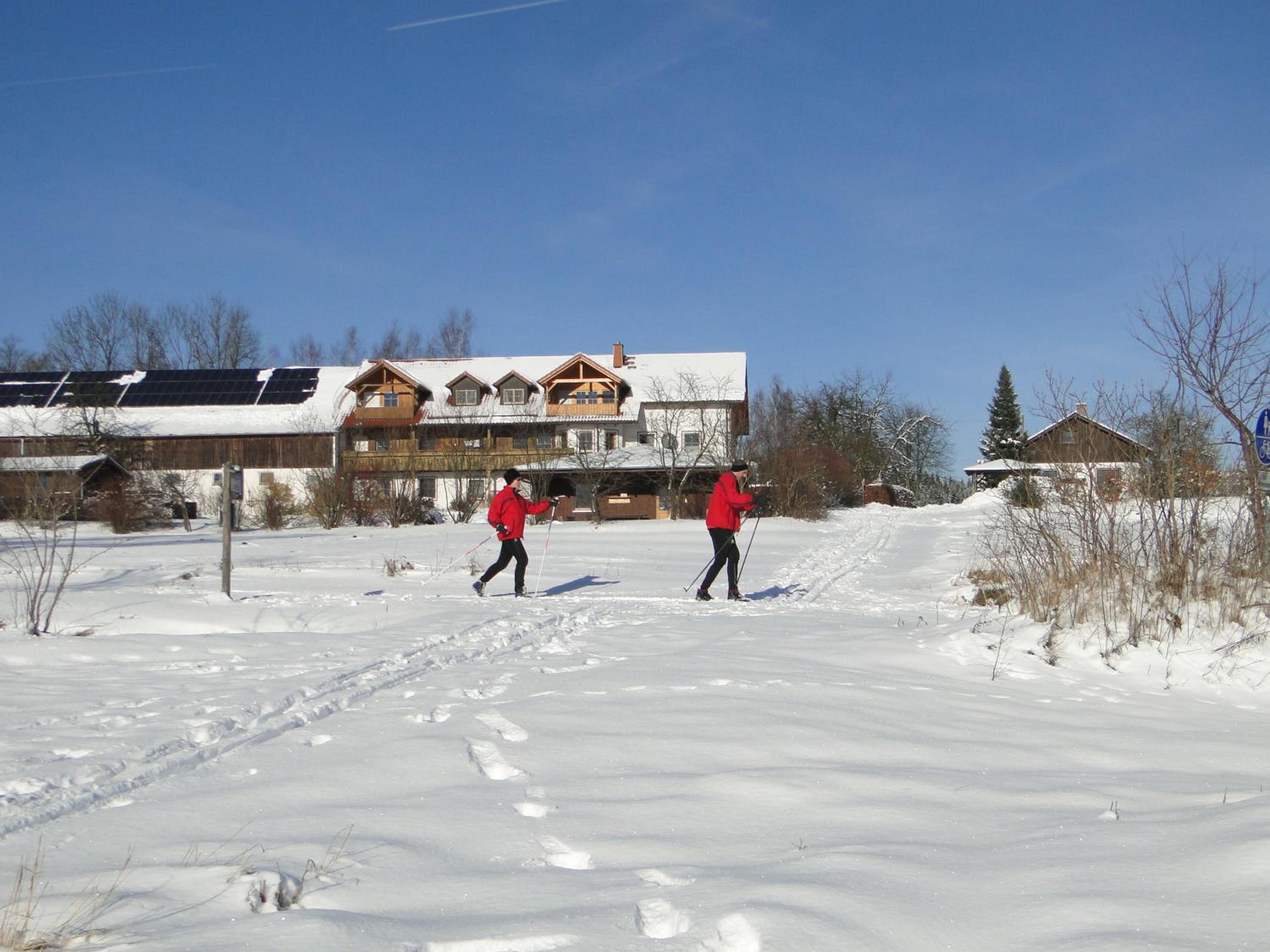 Birkholmhof