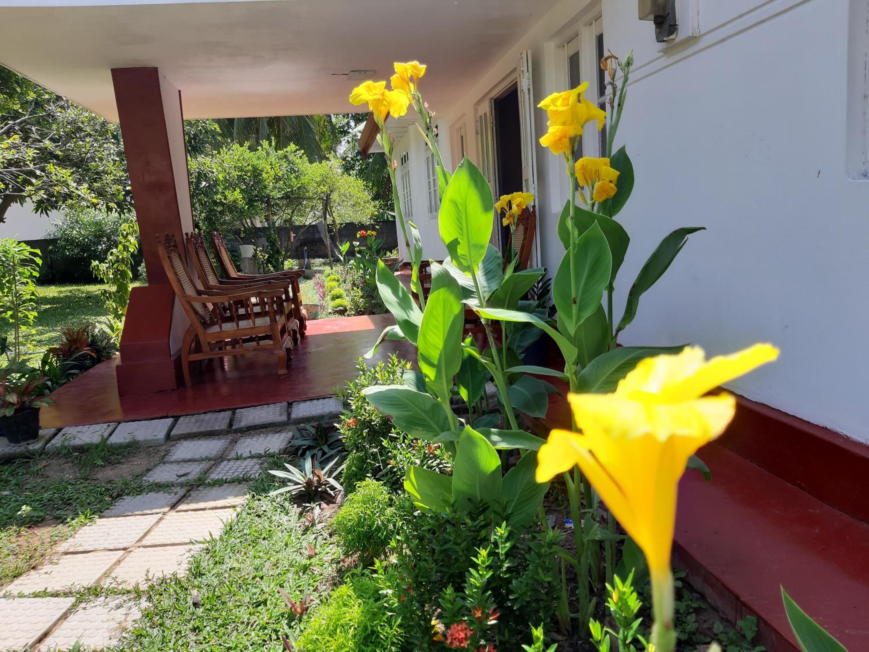 Photo 19