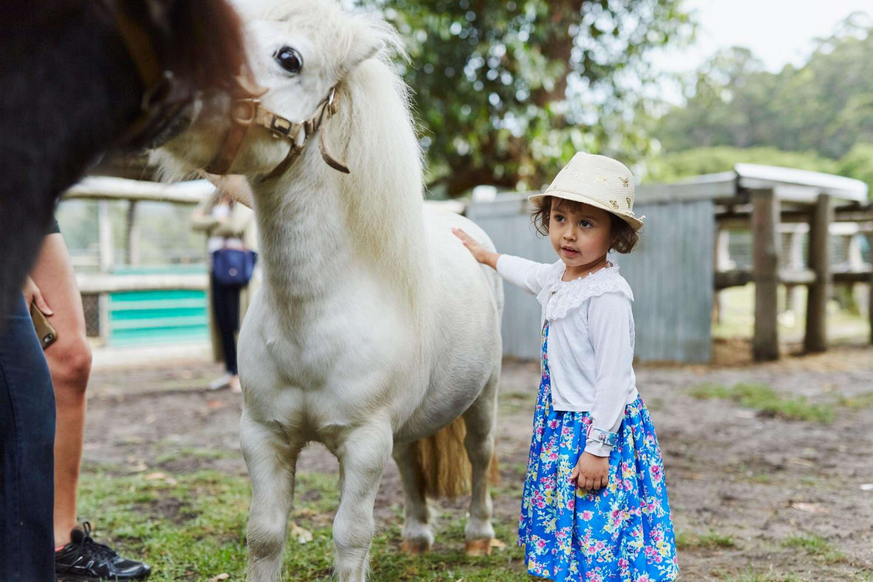 Photo 66