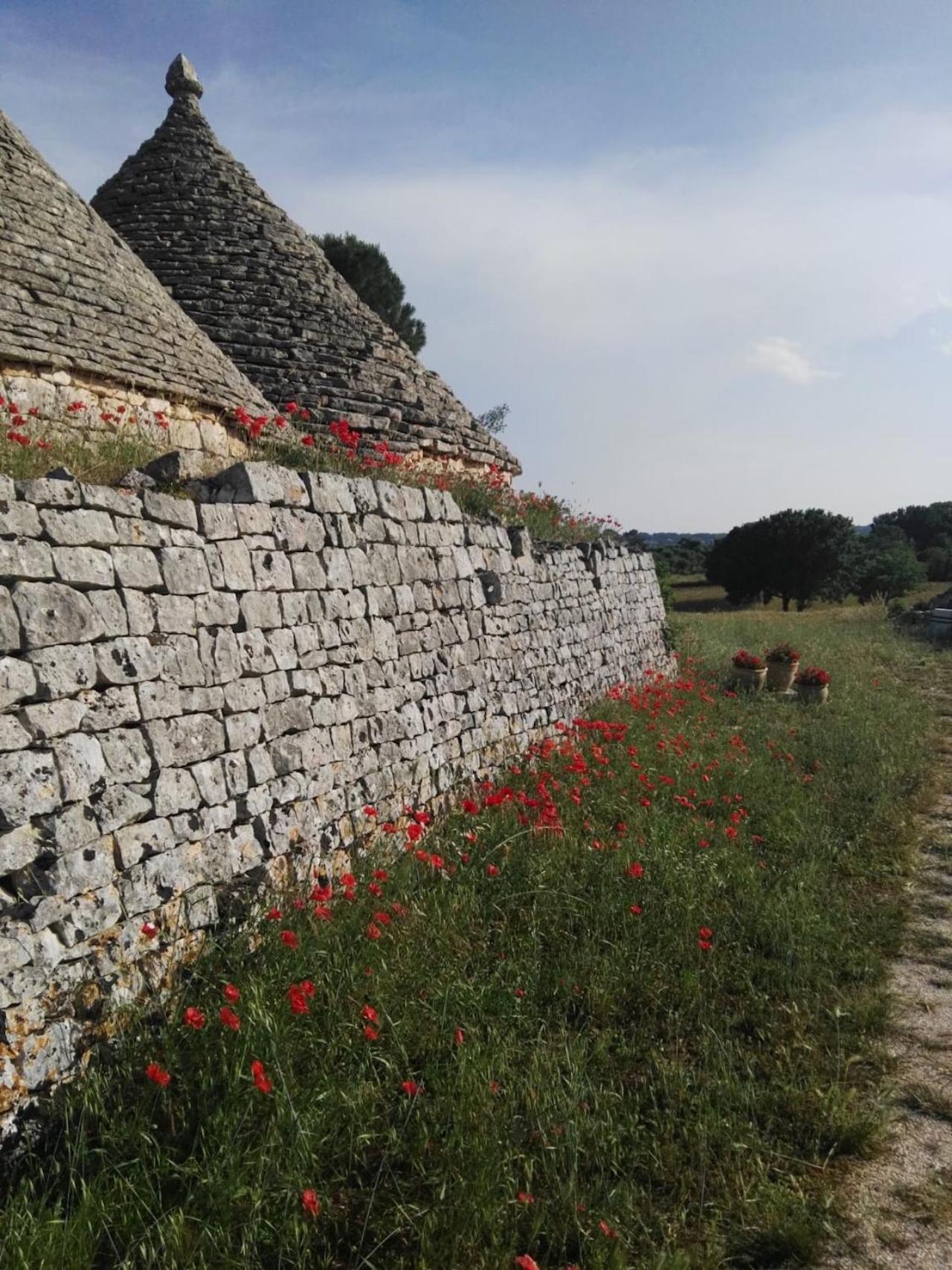 Borgo trulli 1789 en Ostuni