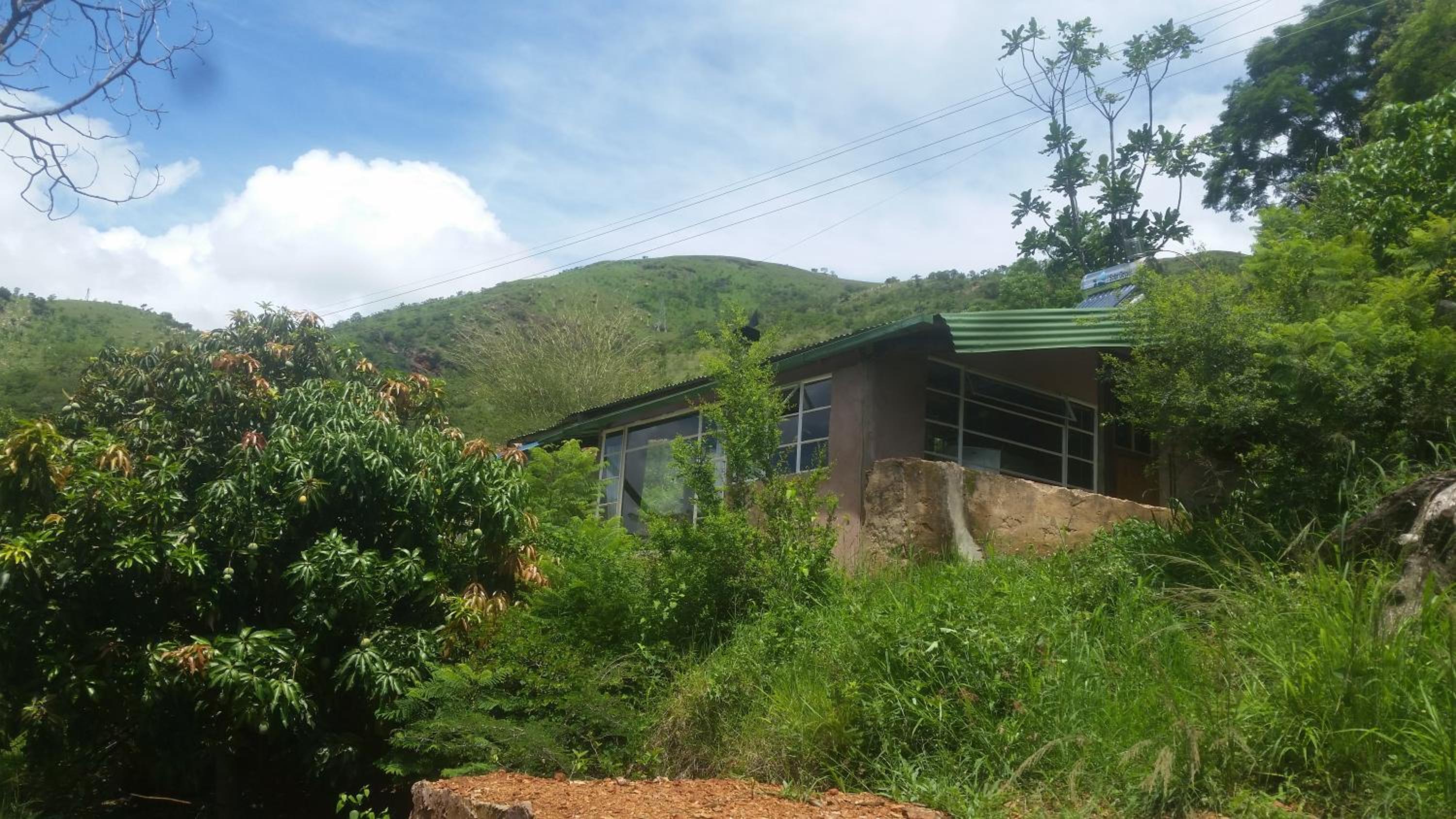 Photo 7