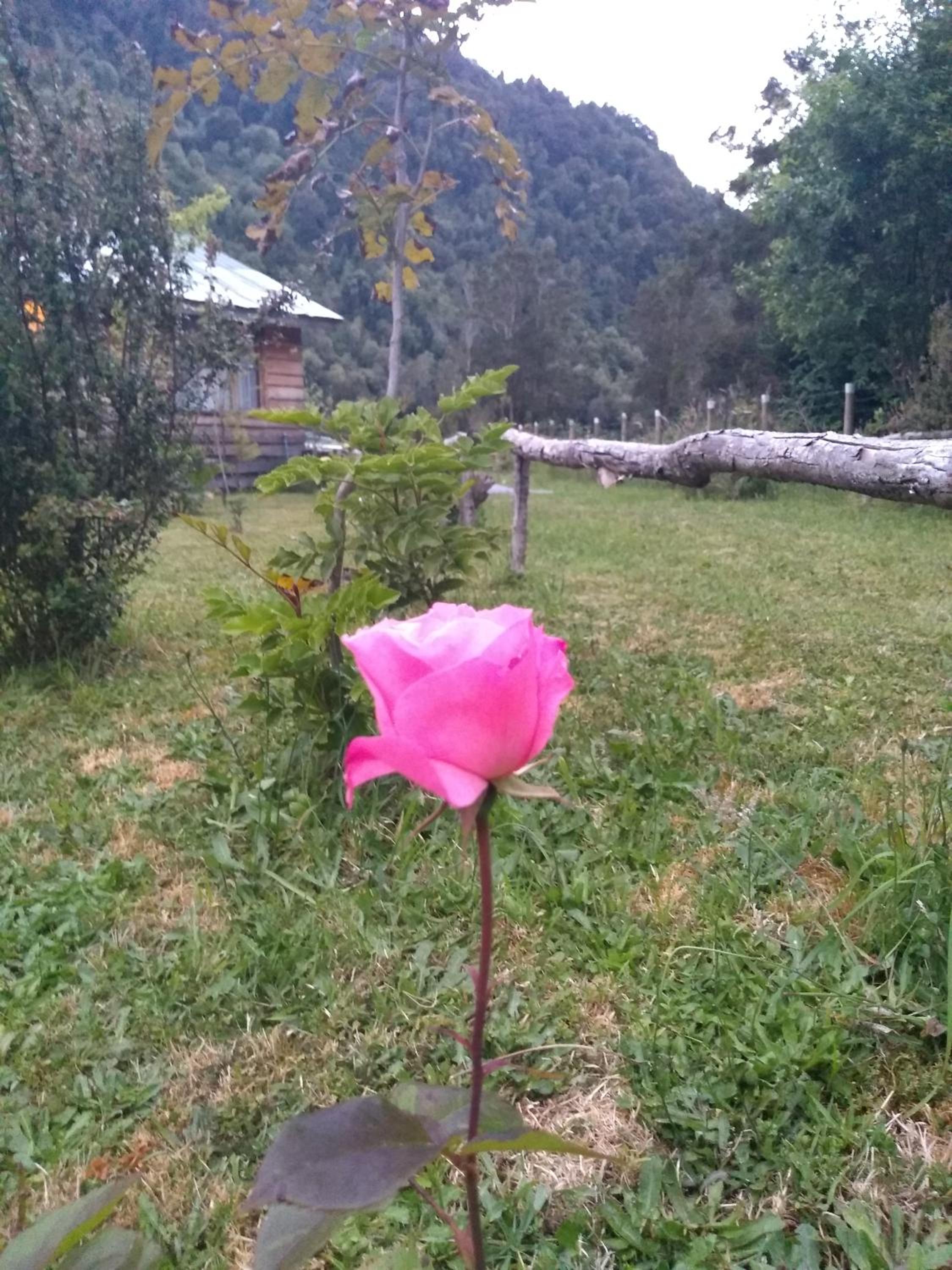 Entre Esteros Hornopiren