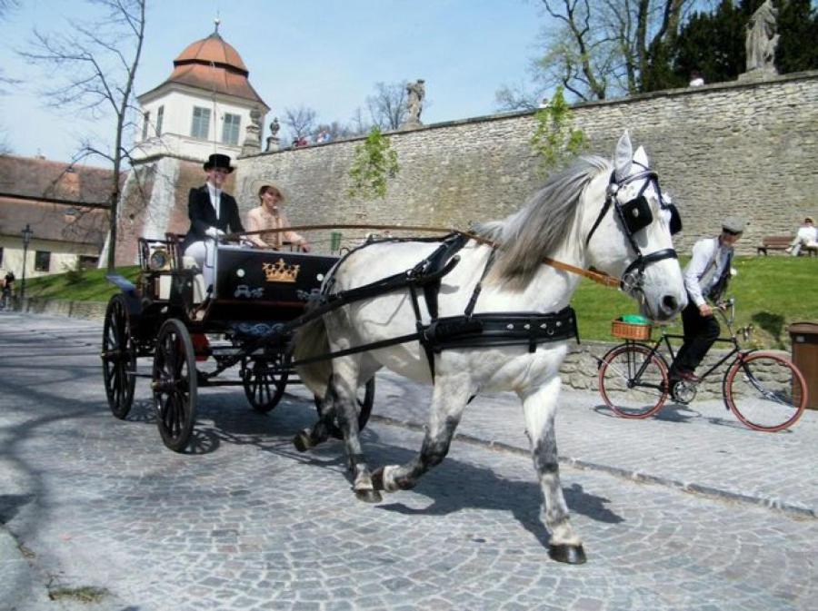 Penzion V Podzámčí Litomyšl