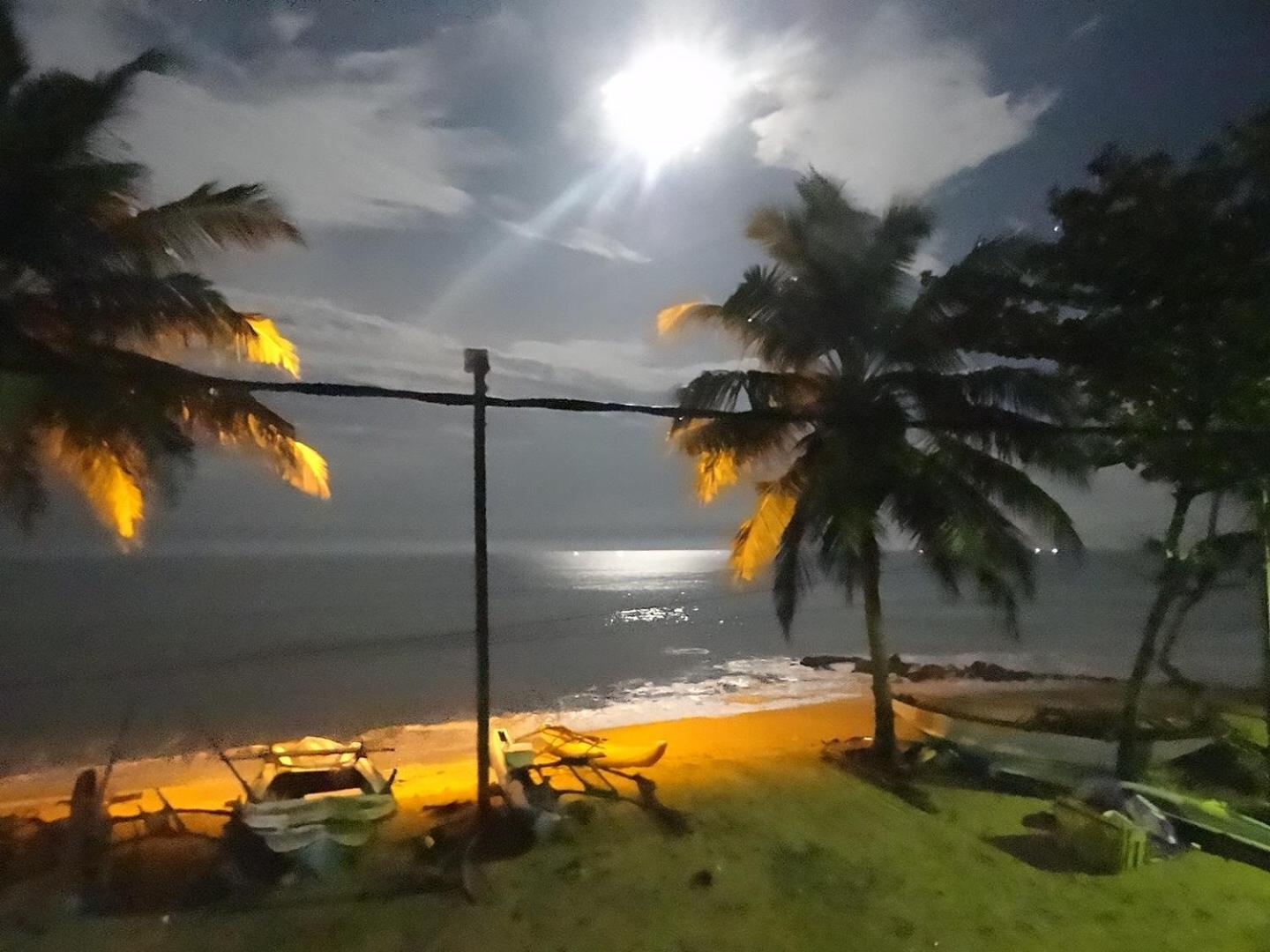Photo 31