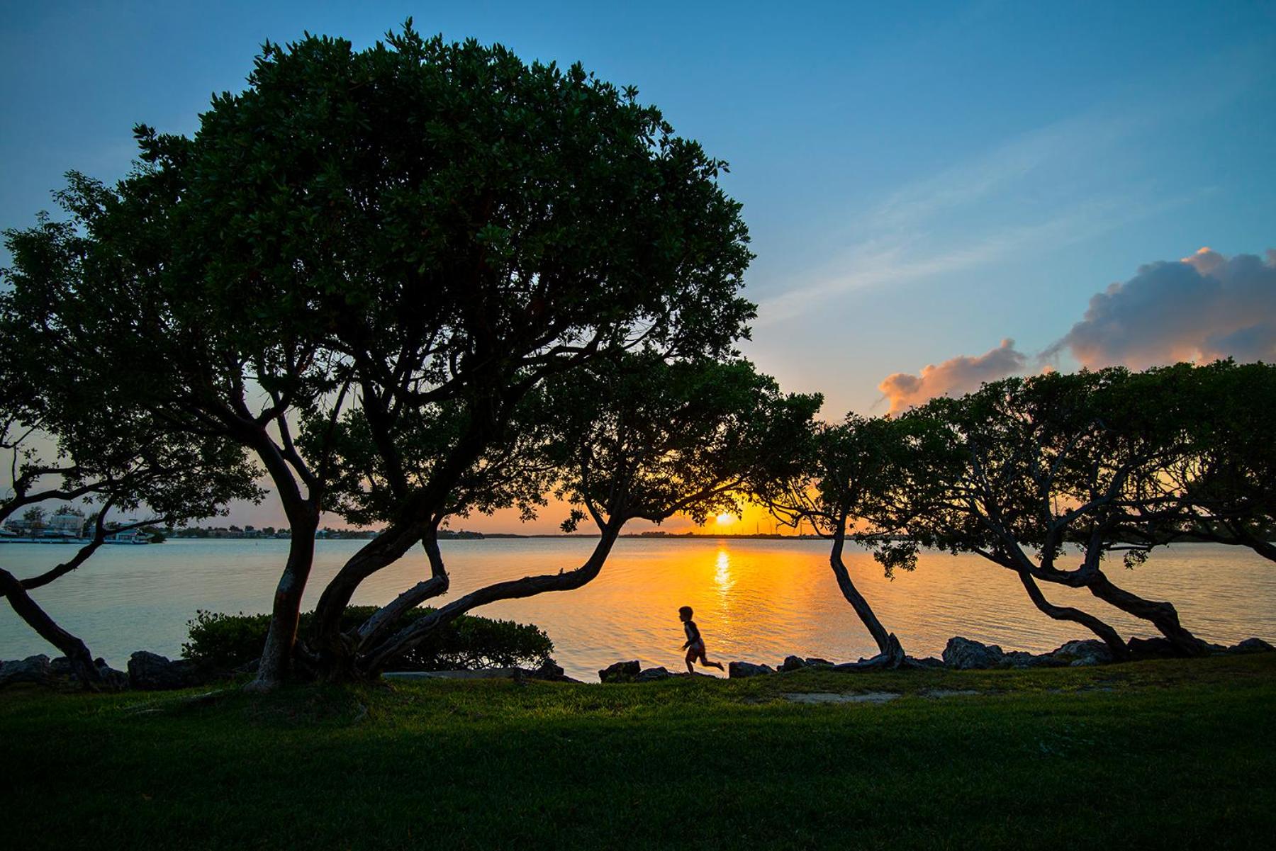 Hawks Cay Resort 82