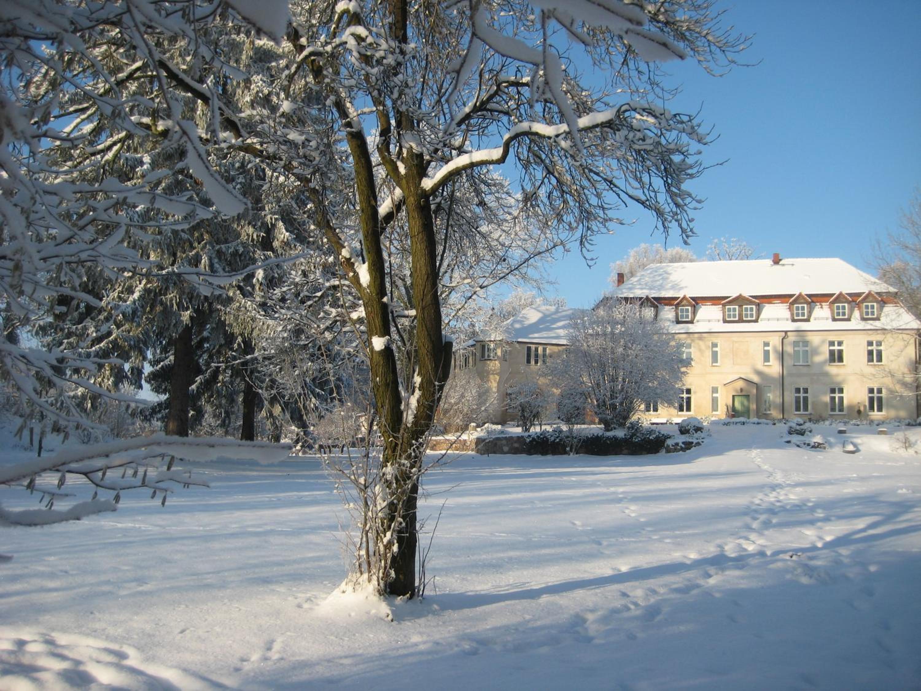 Gartenzimmer im Schloss Neuhausen