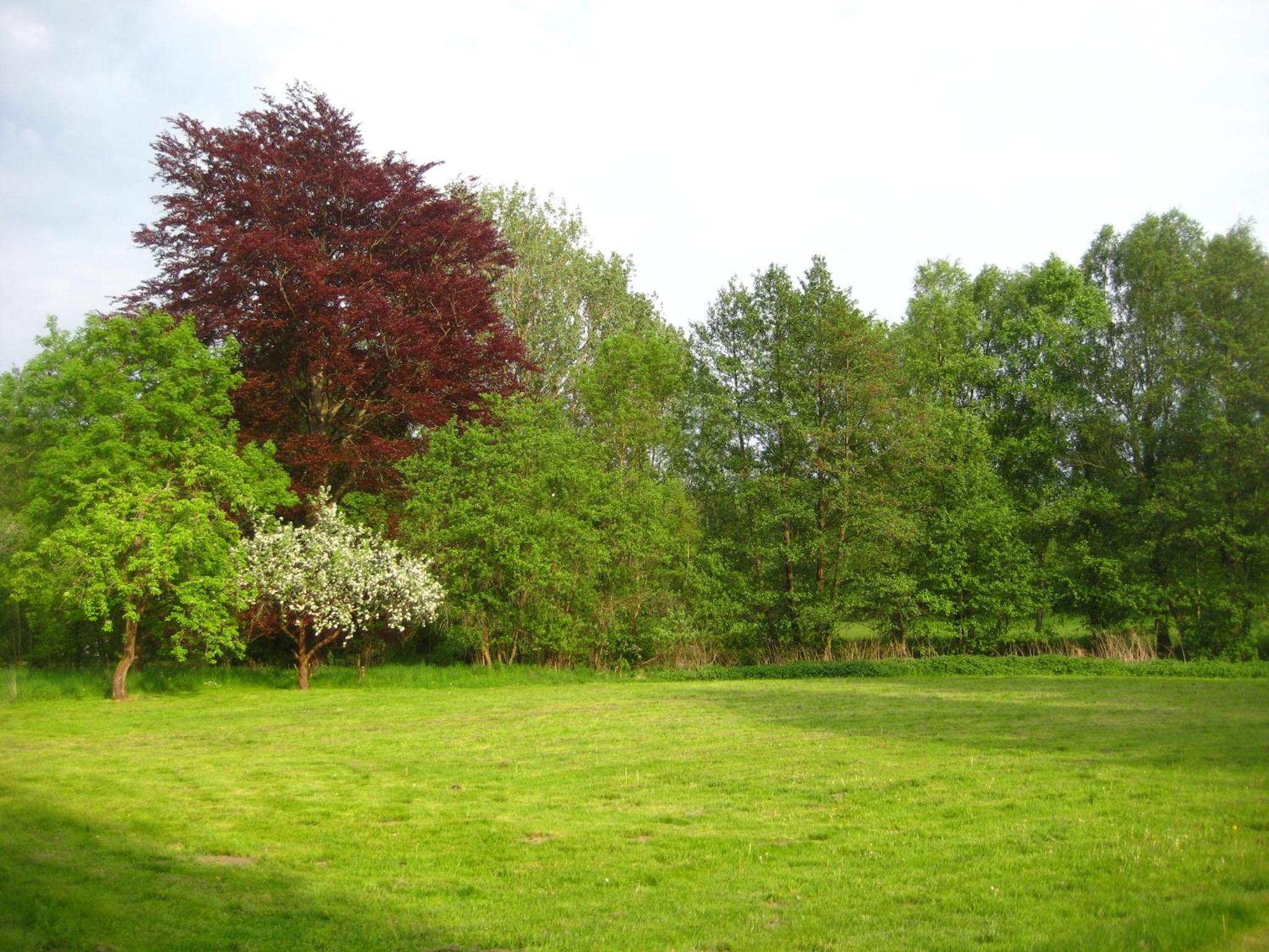 Gartenzimmer im Schloss Neuhausen