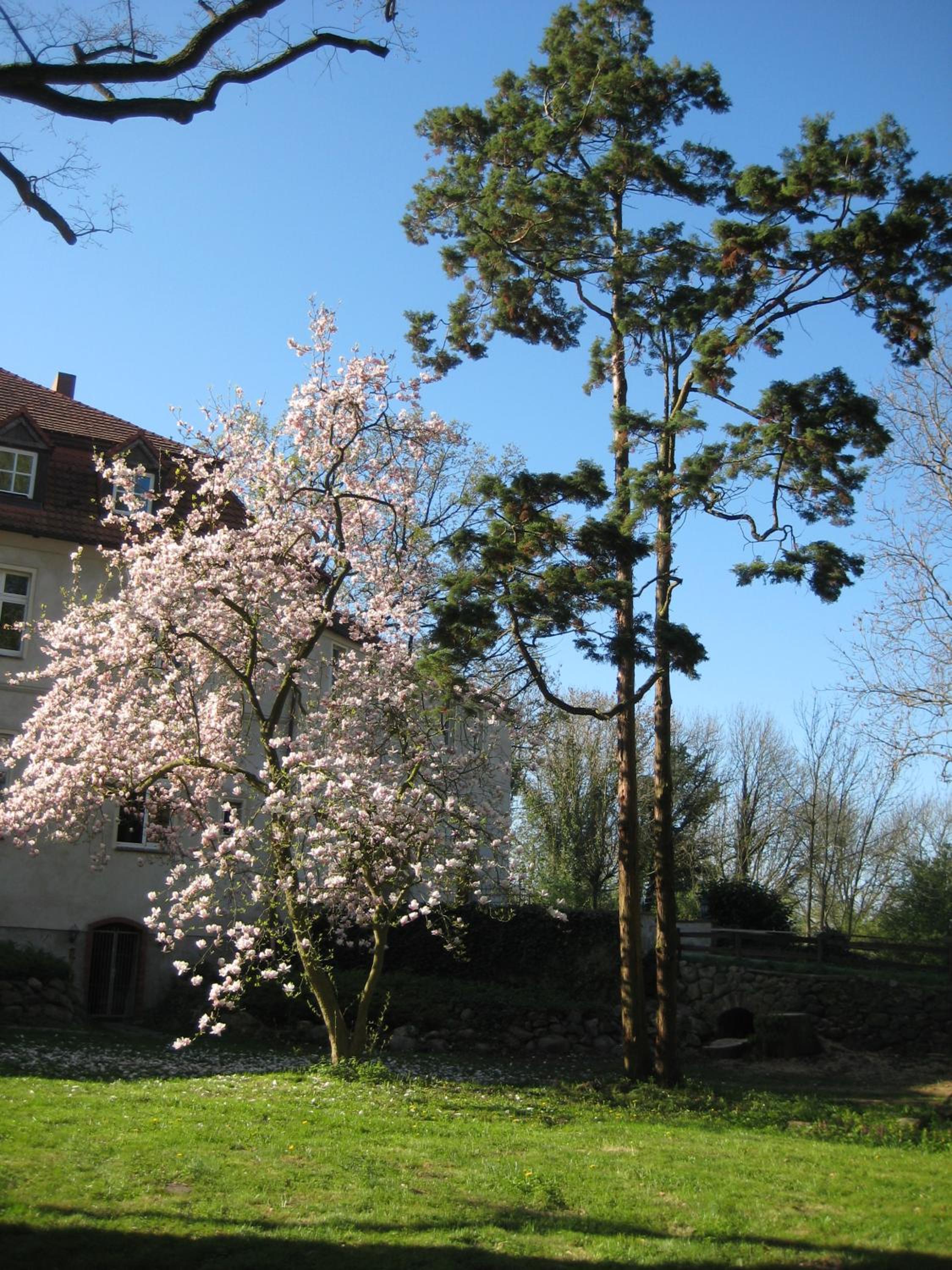 Gartenzimmer im Schloss Neuhausen