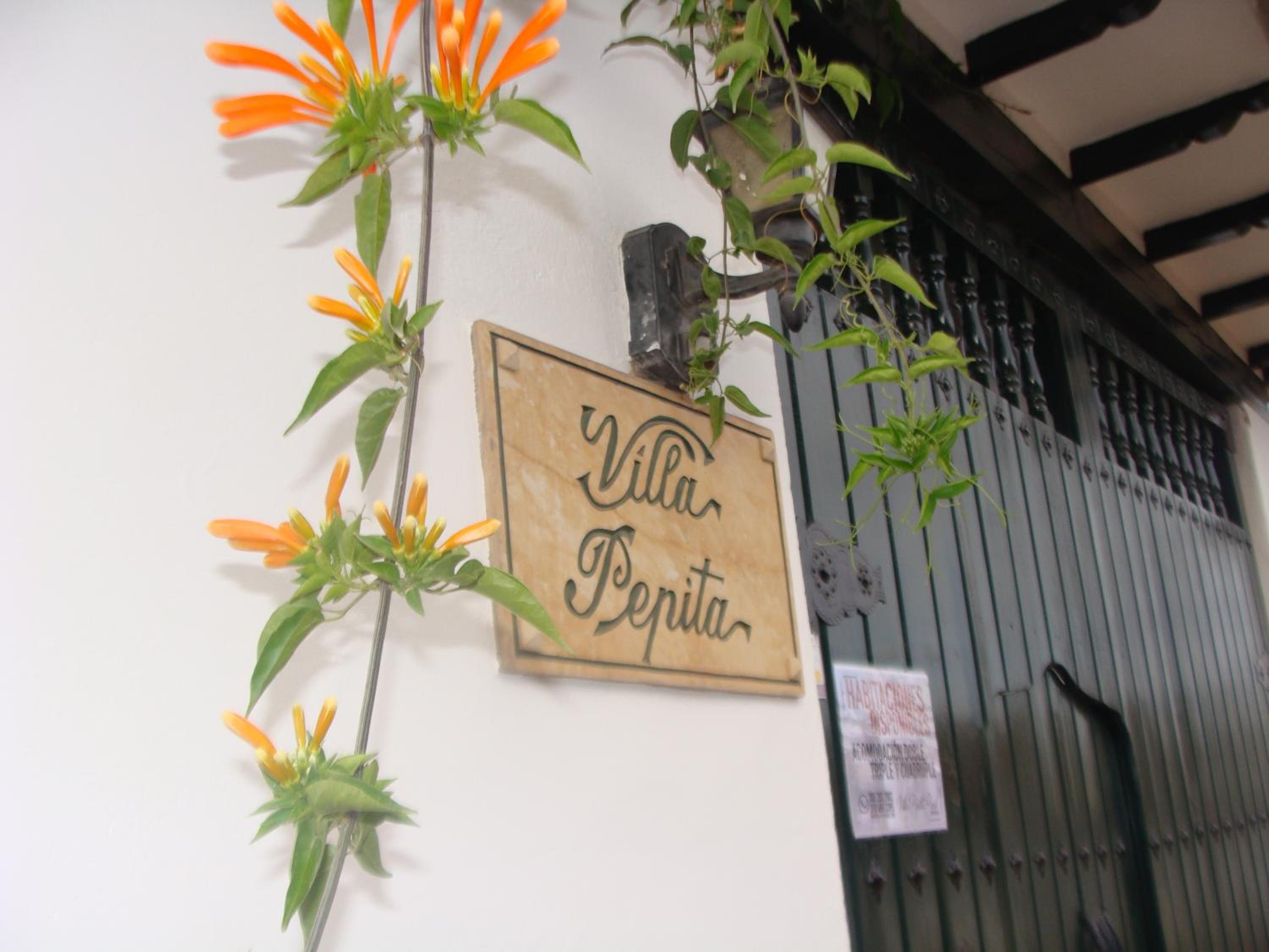Villa Pepita Real