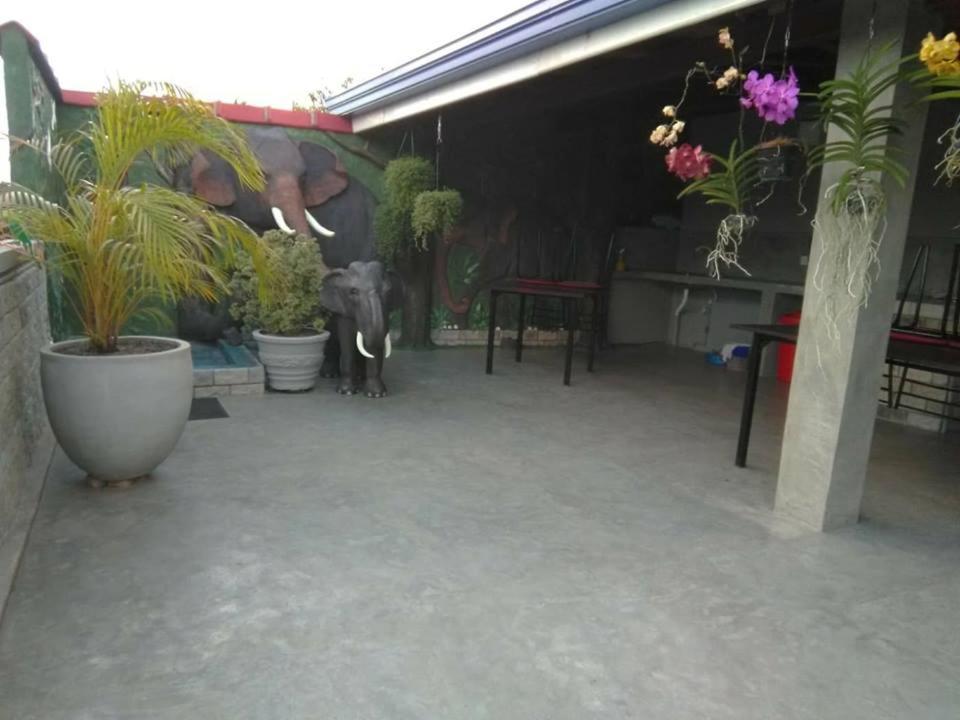 Villa Butterfly