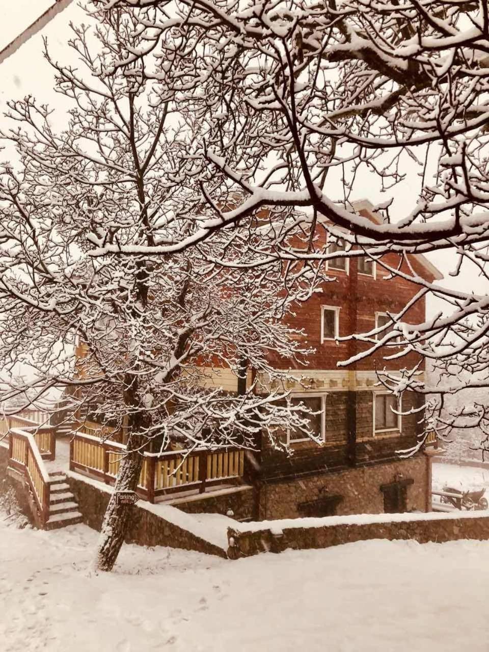 Colours' Chalet view 2