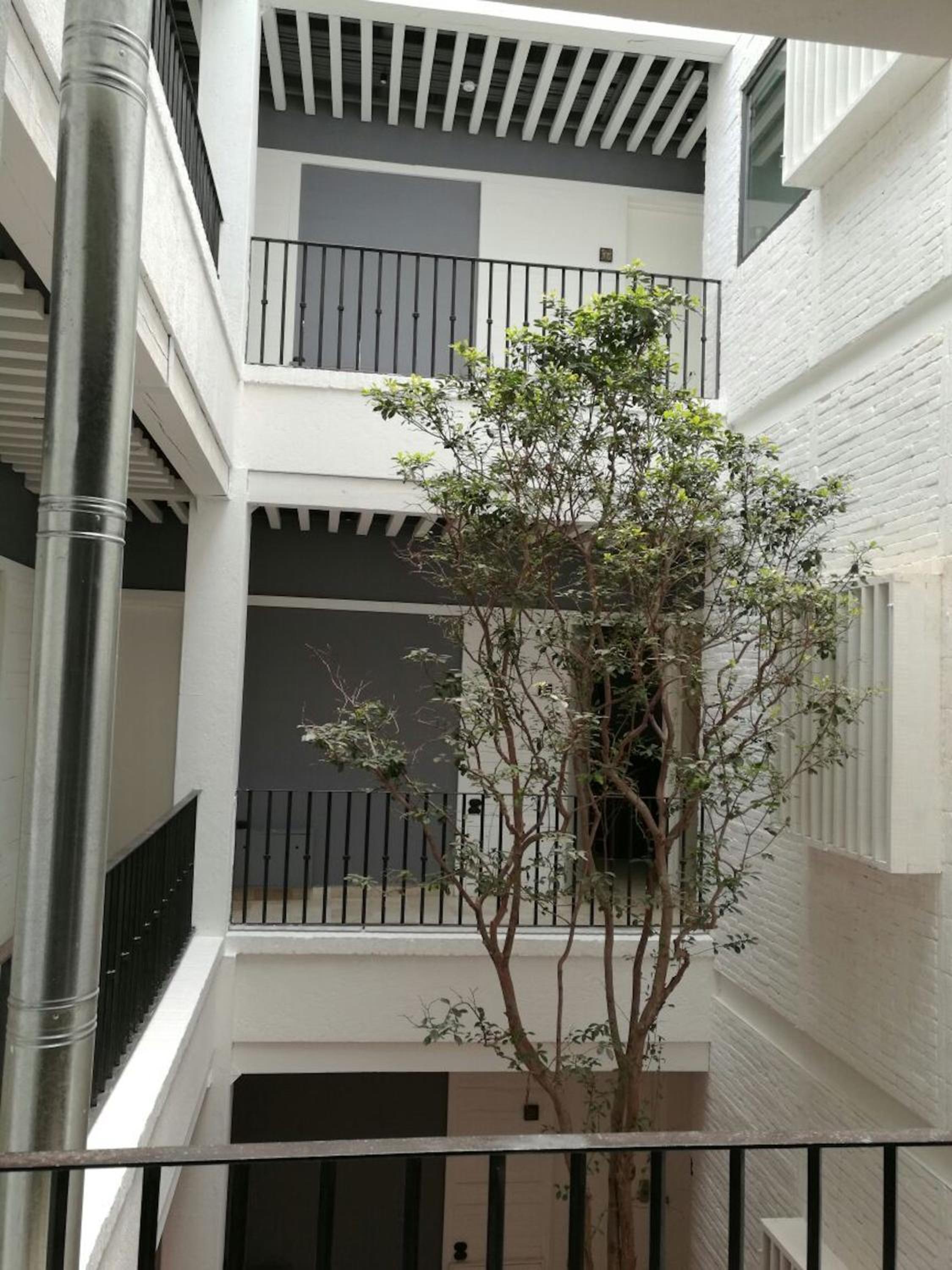 My Place Donceles view 5