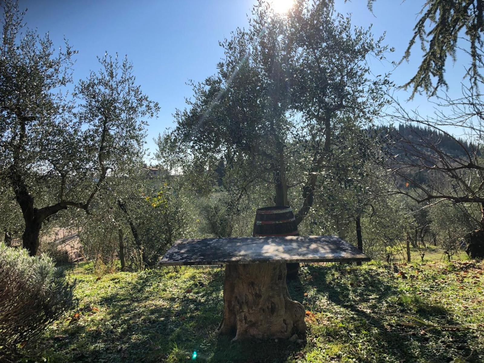 Agriturismo 