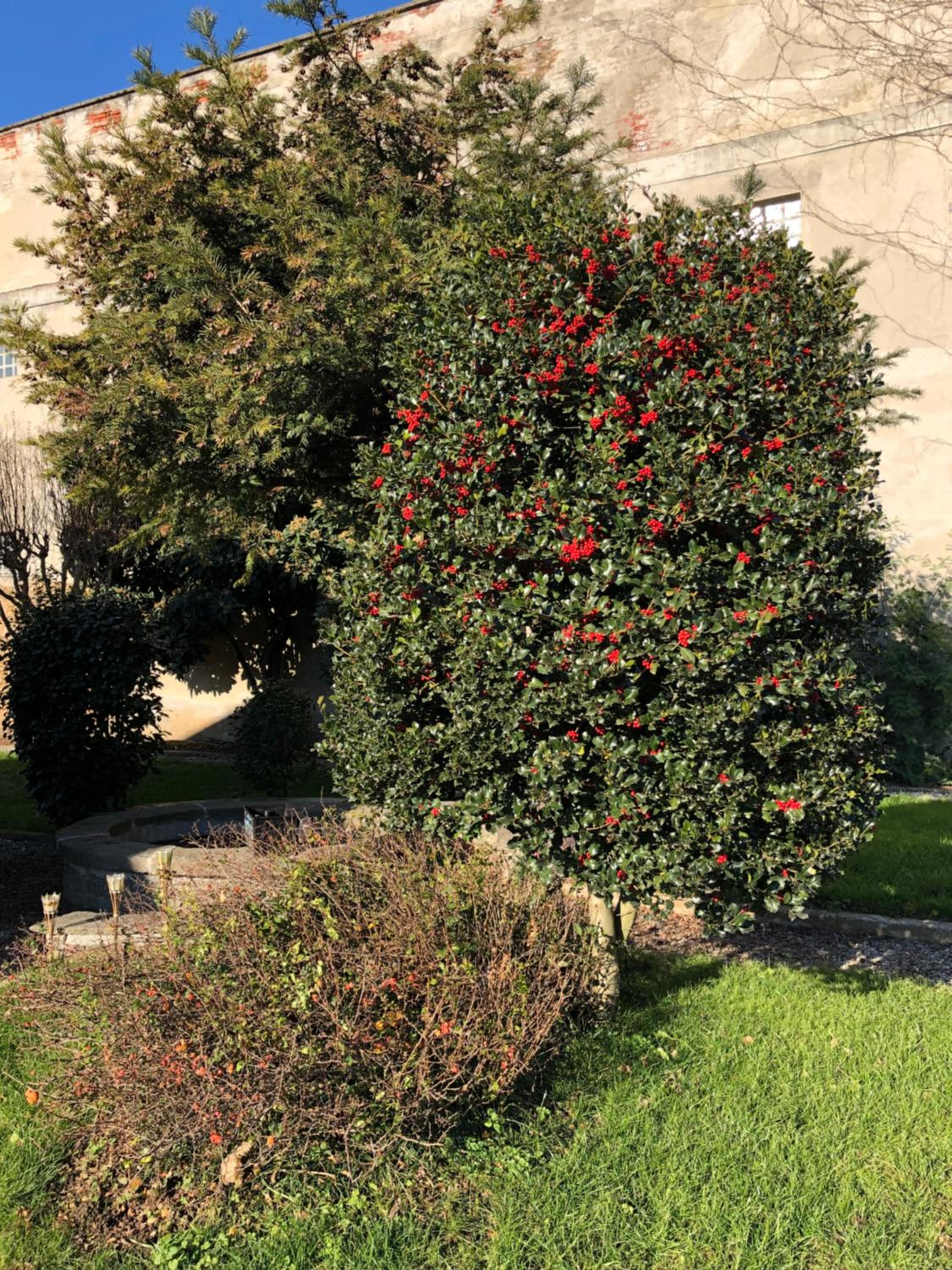 Photo 18