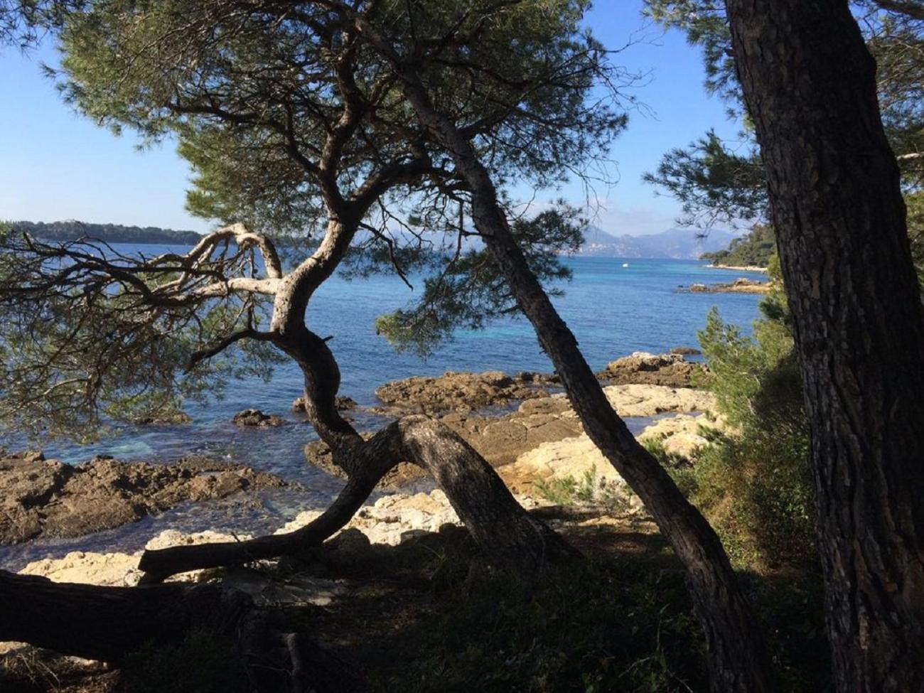 Cannes design vue mer view 2