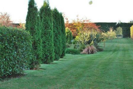 Chester Oaks B&B
