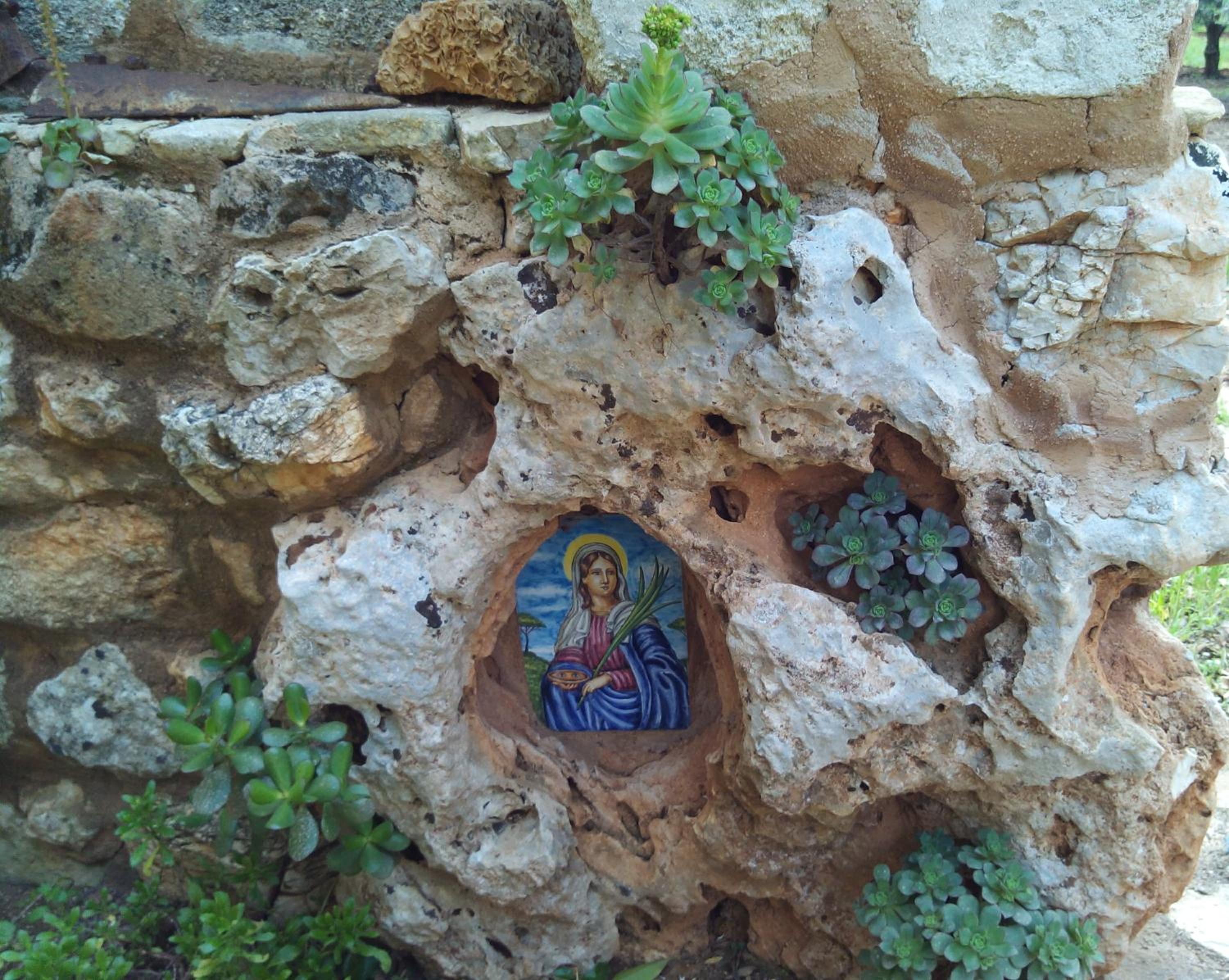 Photo 41