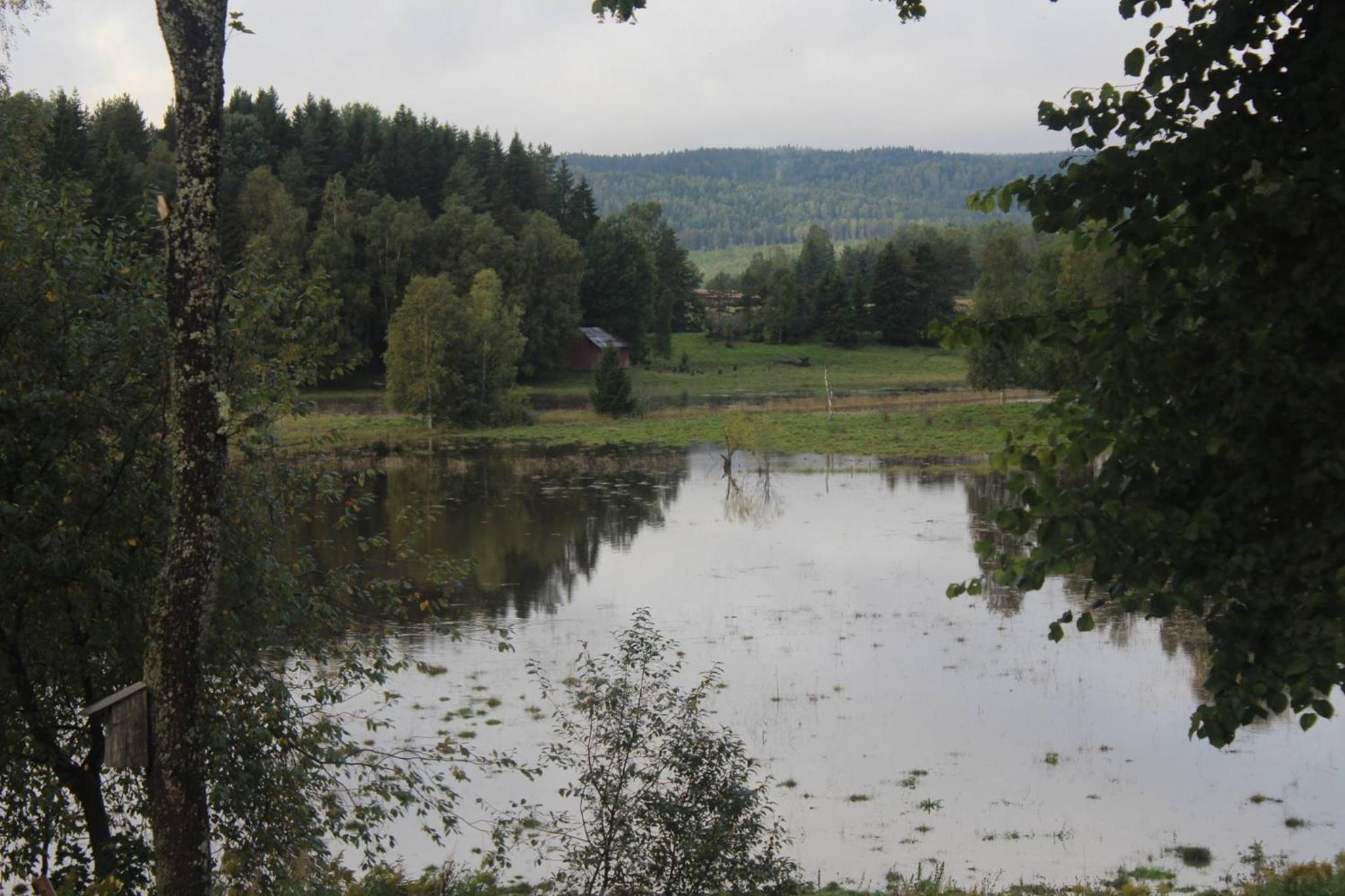 Photo 46