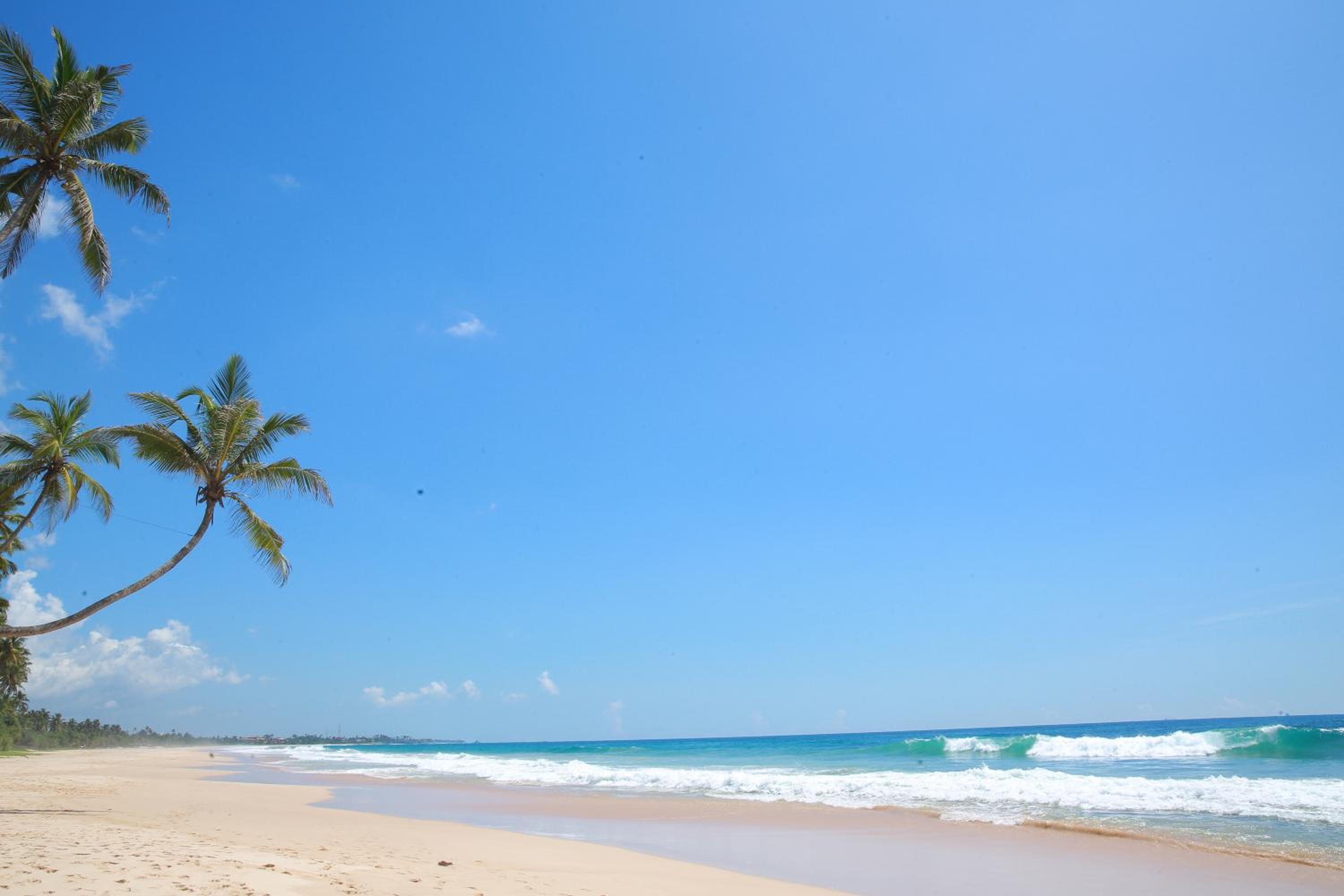 Limecabanas-srilanka
