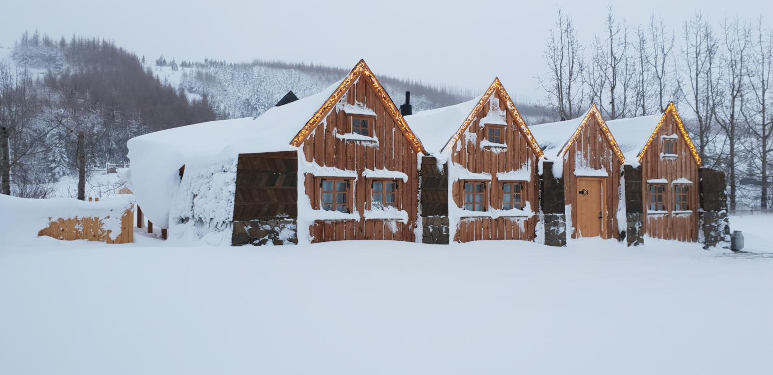Íslandsbærinn /Old Farm