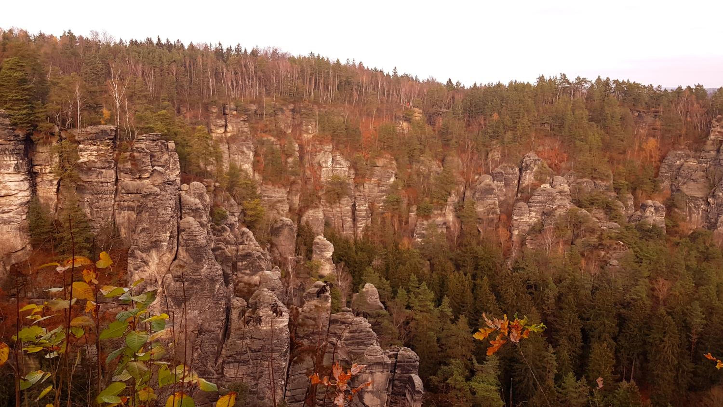 Ferienwohnung Struppi Sächsische Schweiz view 3