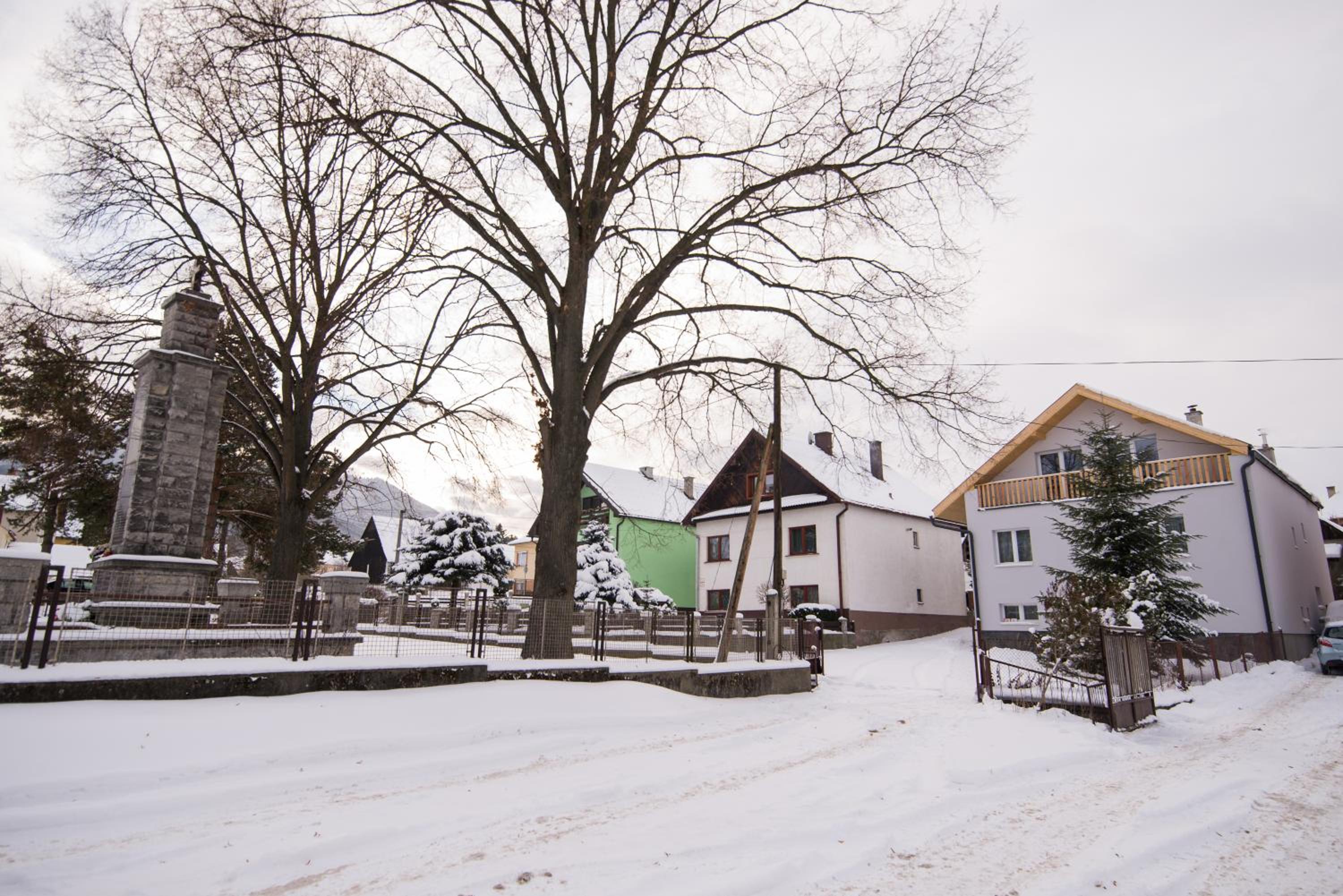 Photo 44