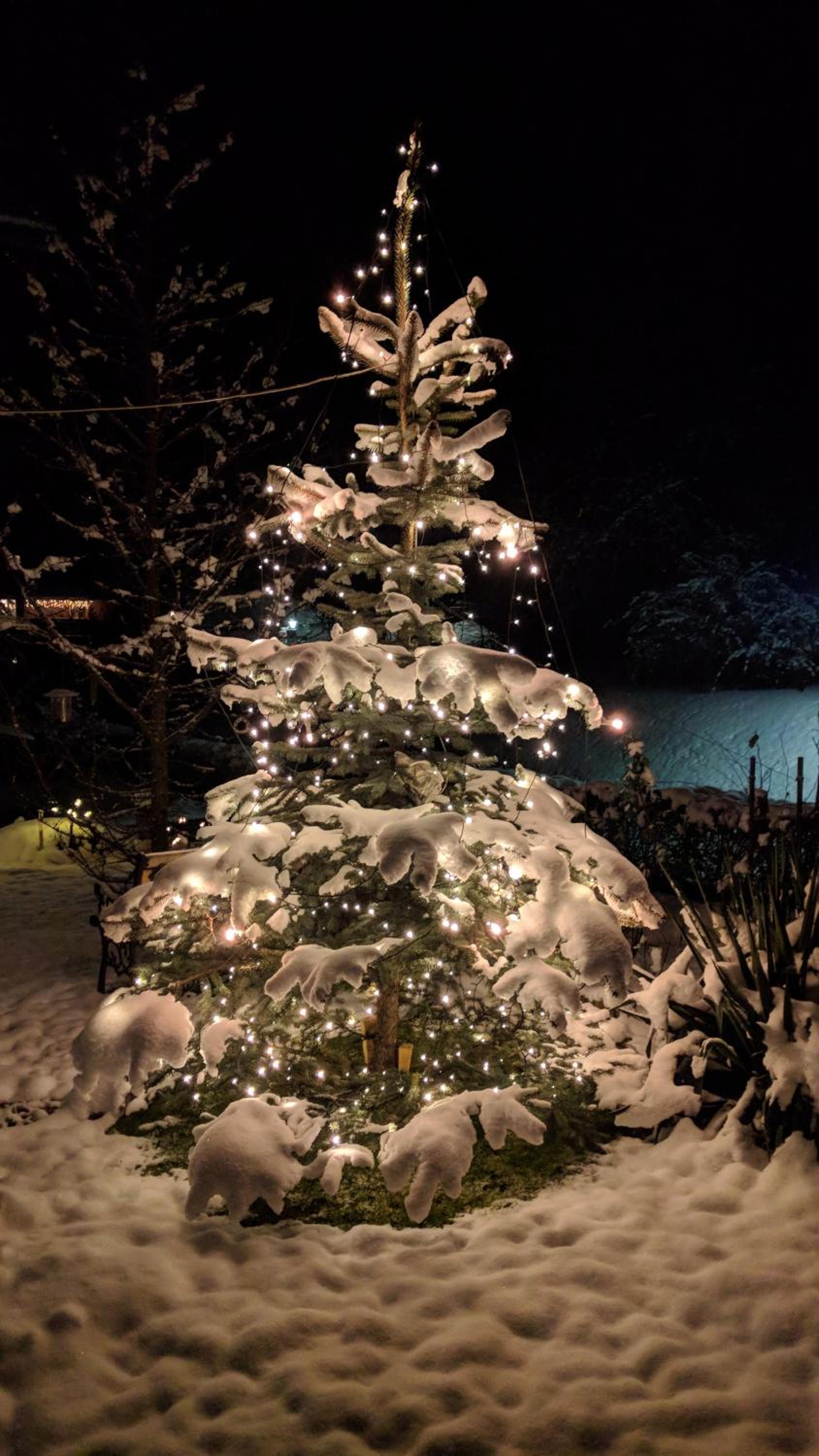 Heidi's Schlummerkiste am Fuß der Teichalm