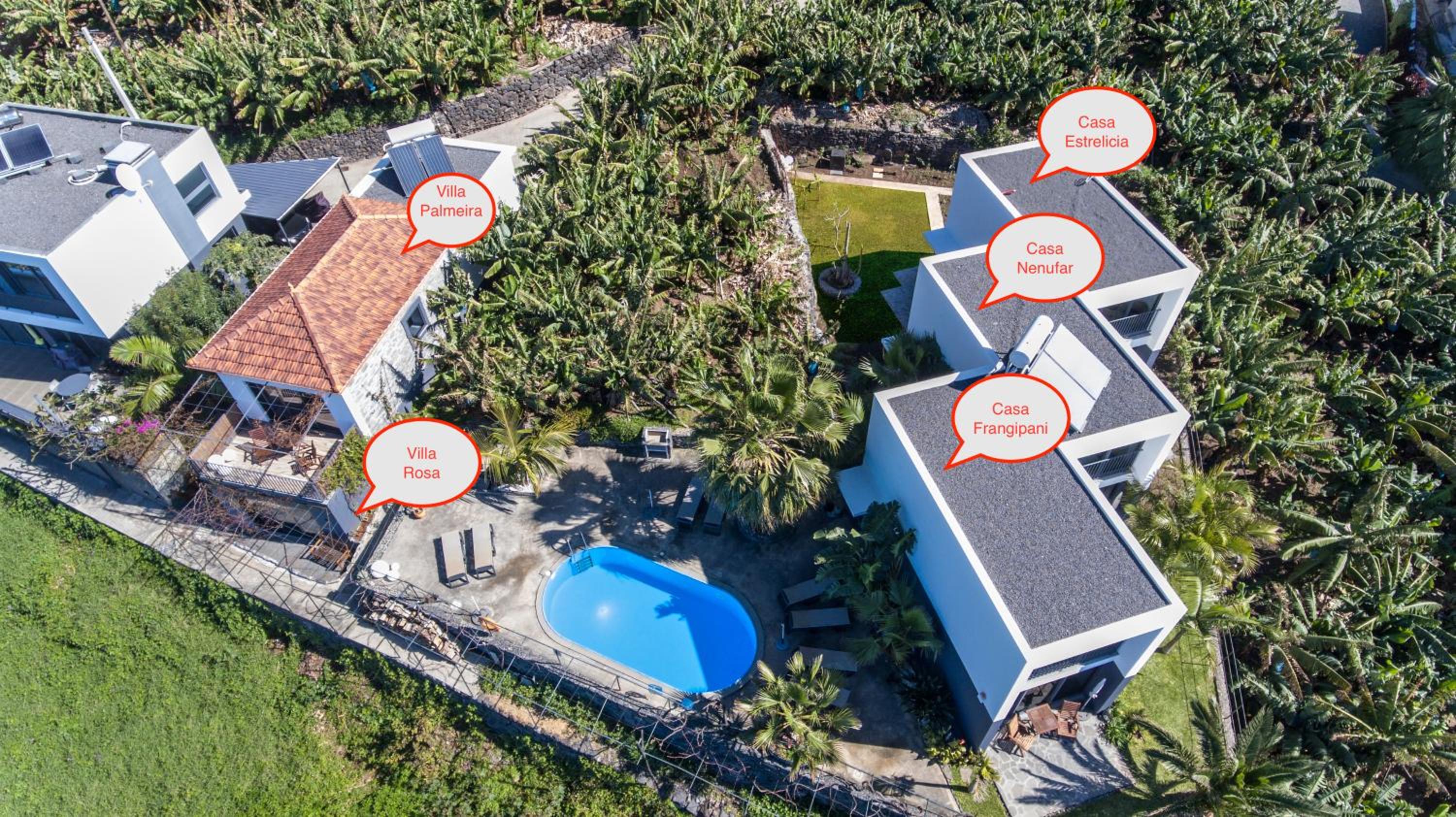 Quinta Golfinho