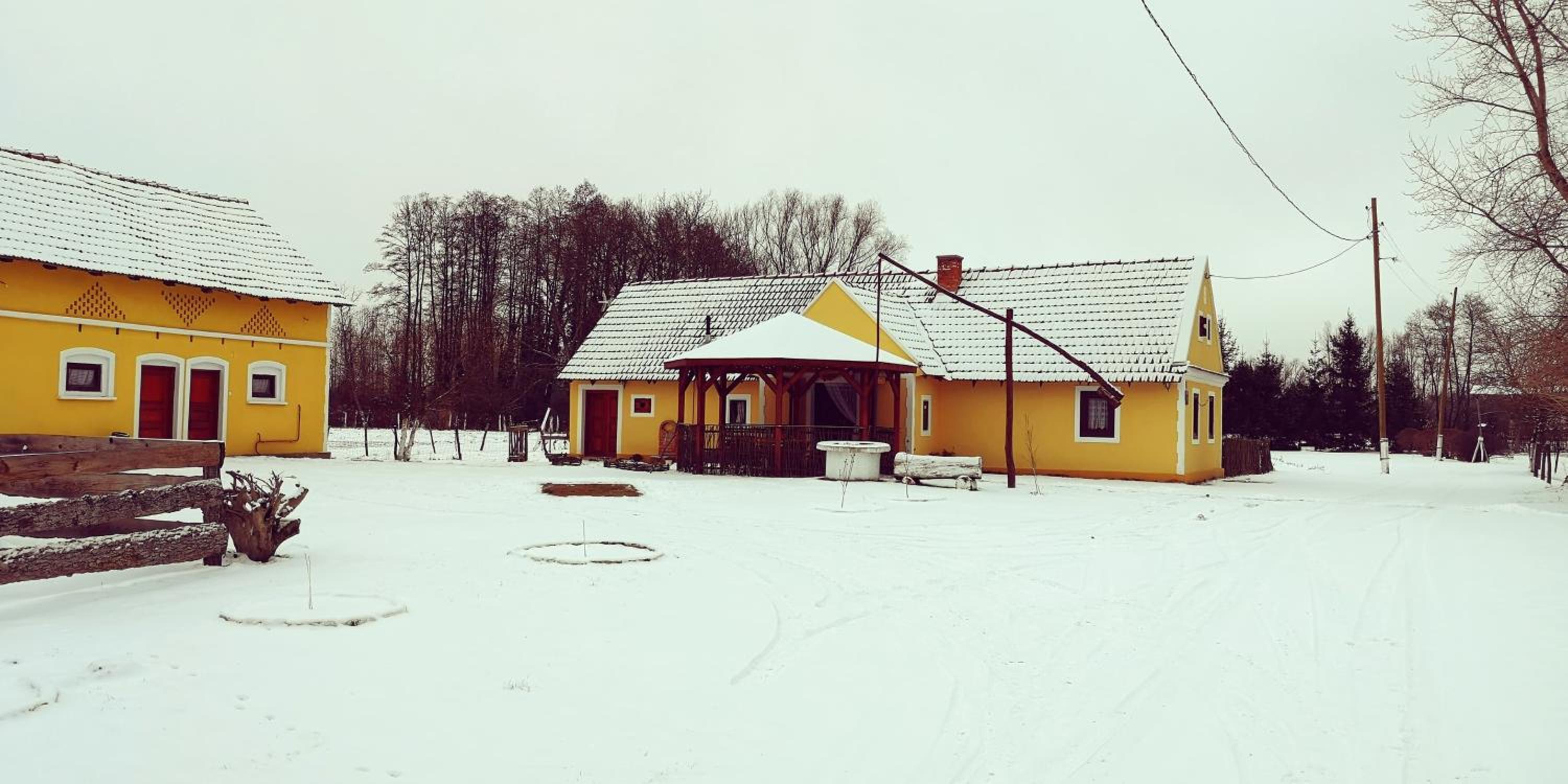 Photo 38