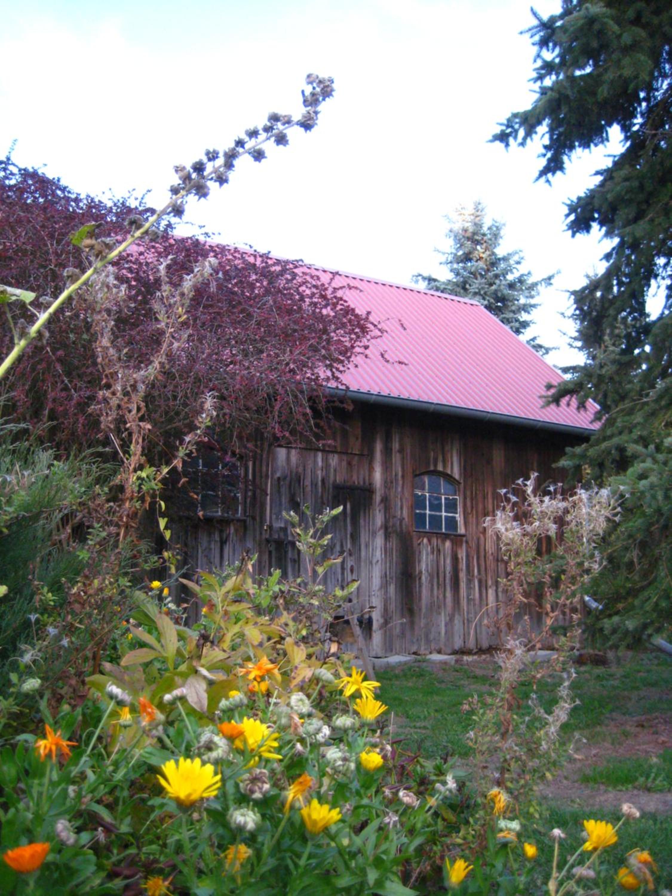 Ferienhaus Ilse-Bilse